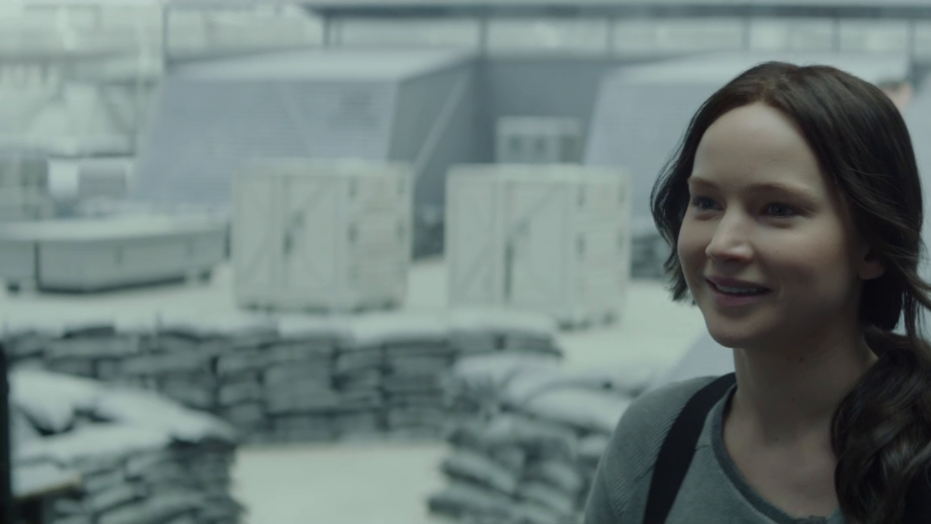 Prime Video: The Hunger Games: Mockingjay - Part 2