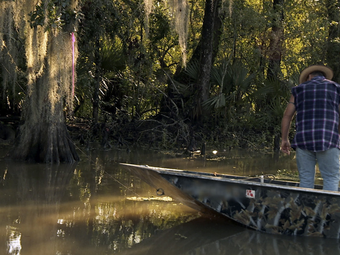 Prime Video: Swamp People - Season 11