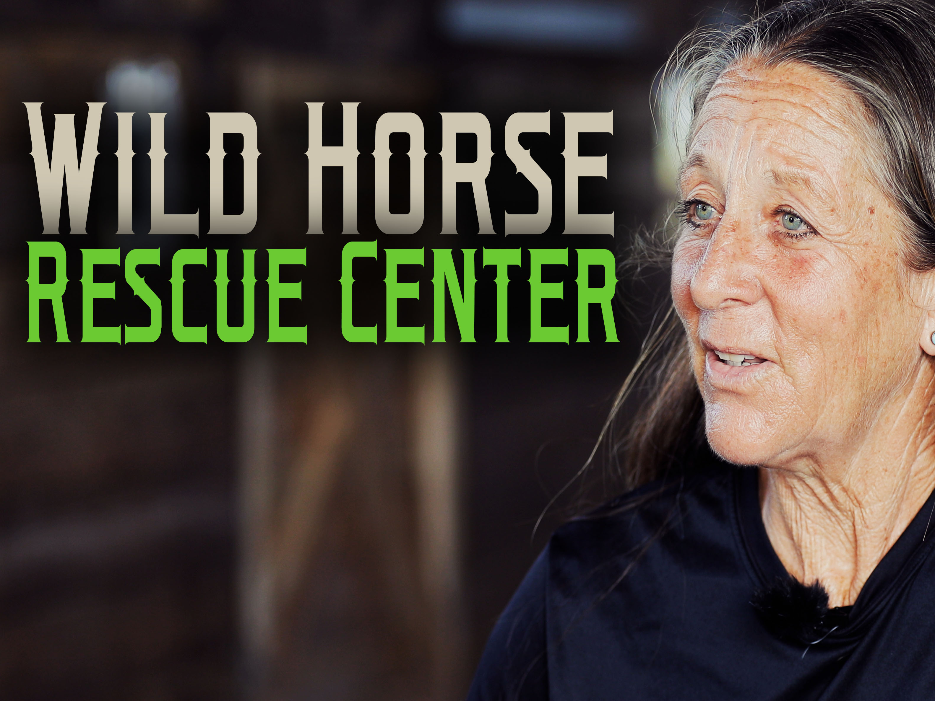 Prime Video Horse Rescue Heroes