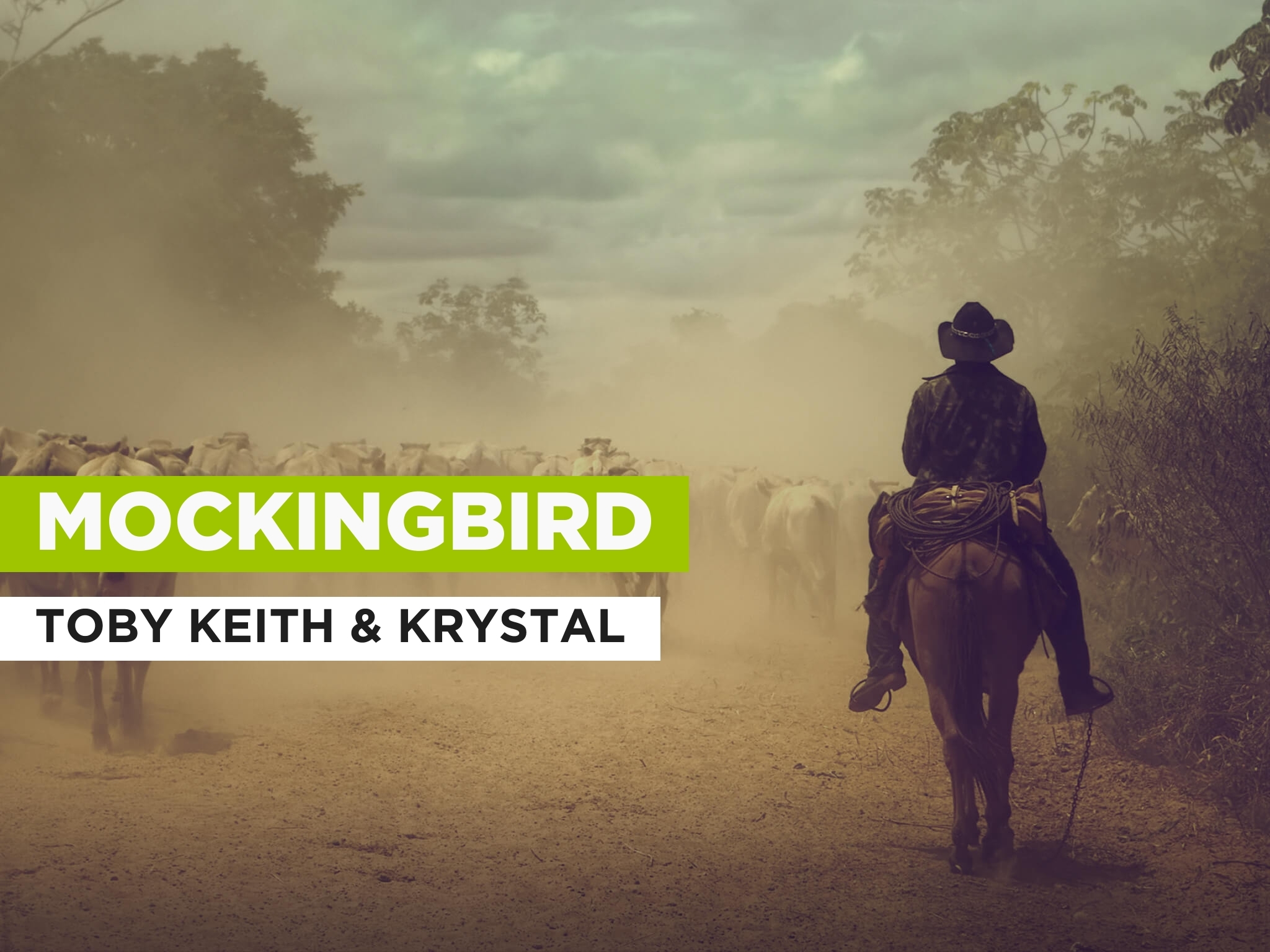 Prime Video Mockingbird al estilo de Toby Keith & Krystal