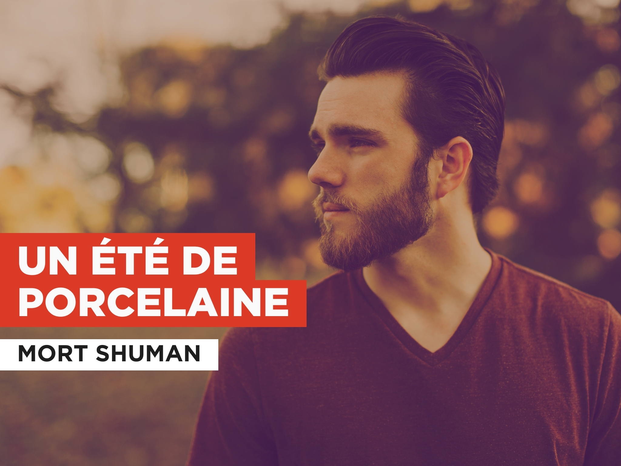 Mort Shuman Un été De Porcelaine Paroles