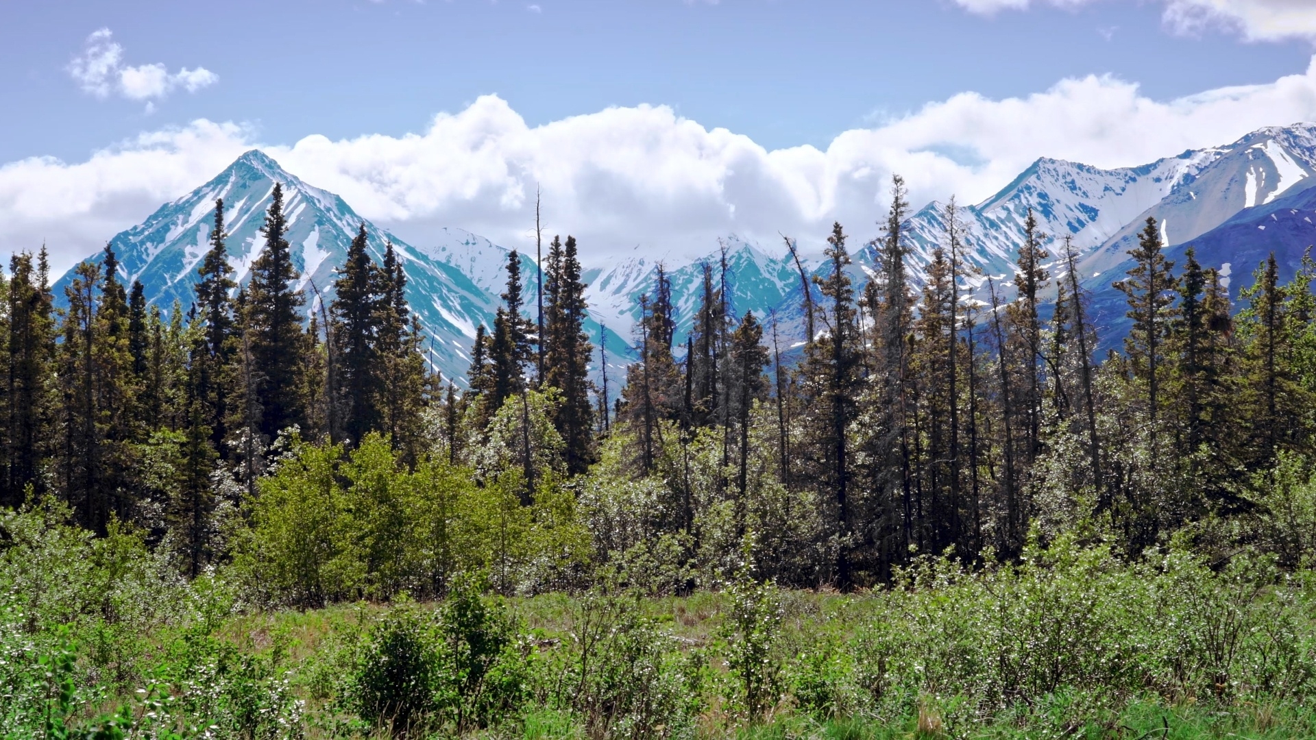 Prime Video Alaskan wilderness