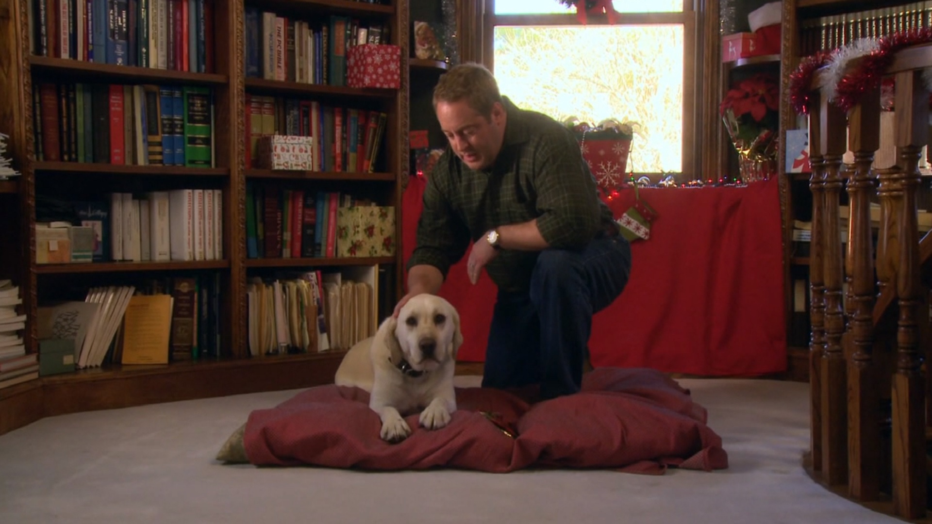 Watch The Dog Who Saved Christmas [Español] Prime Video