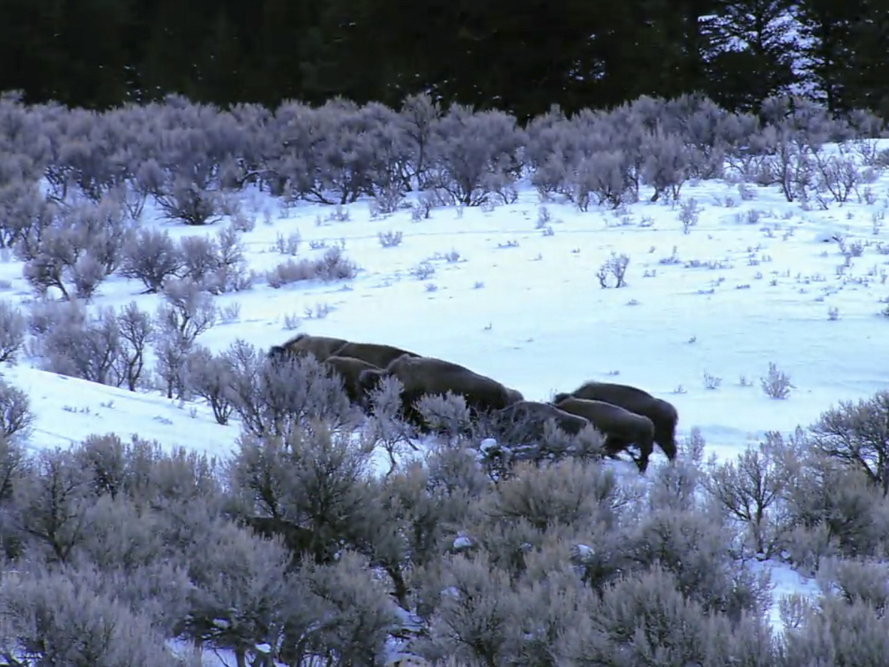 Prime Video Edge of Alaska Season 3