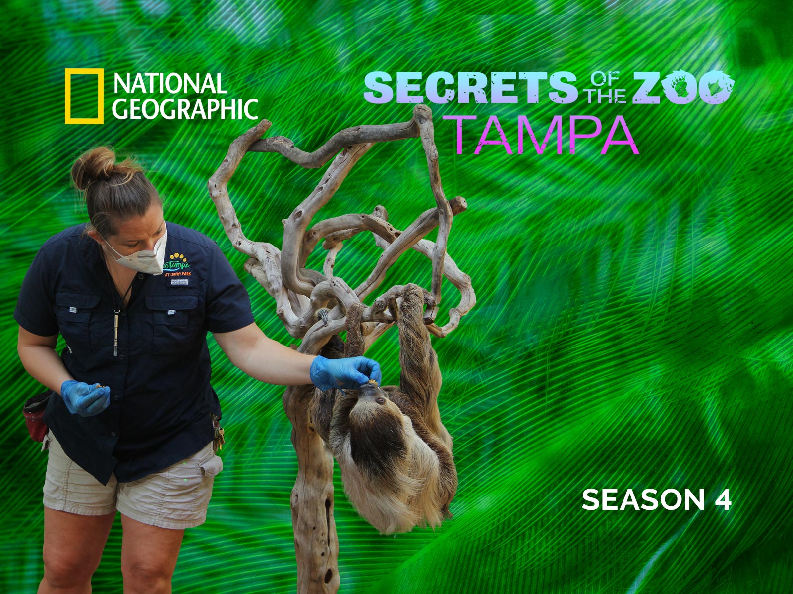 Prime Video Secrets of the Zoo Tampa Season 4