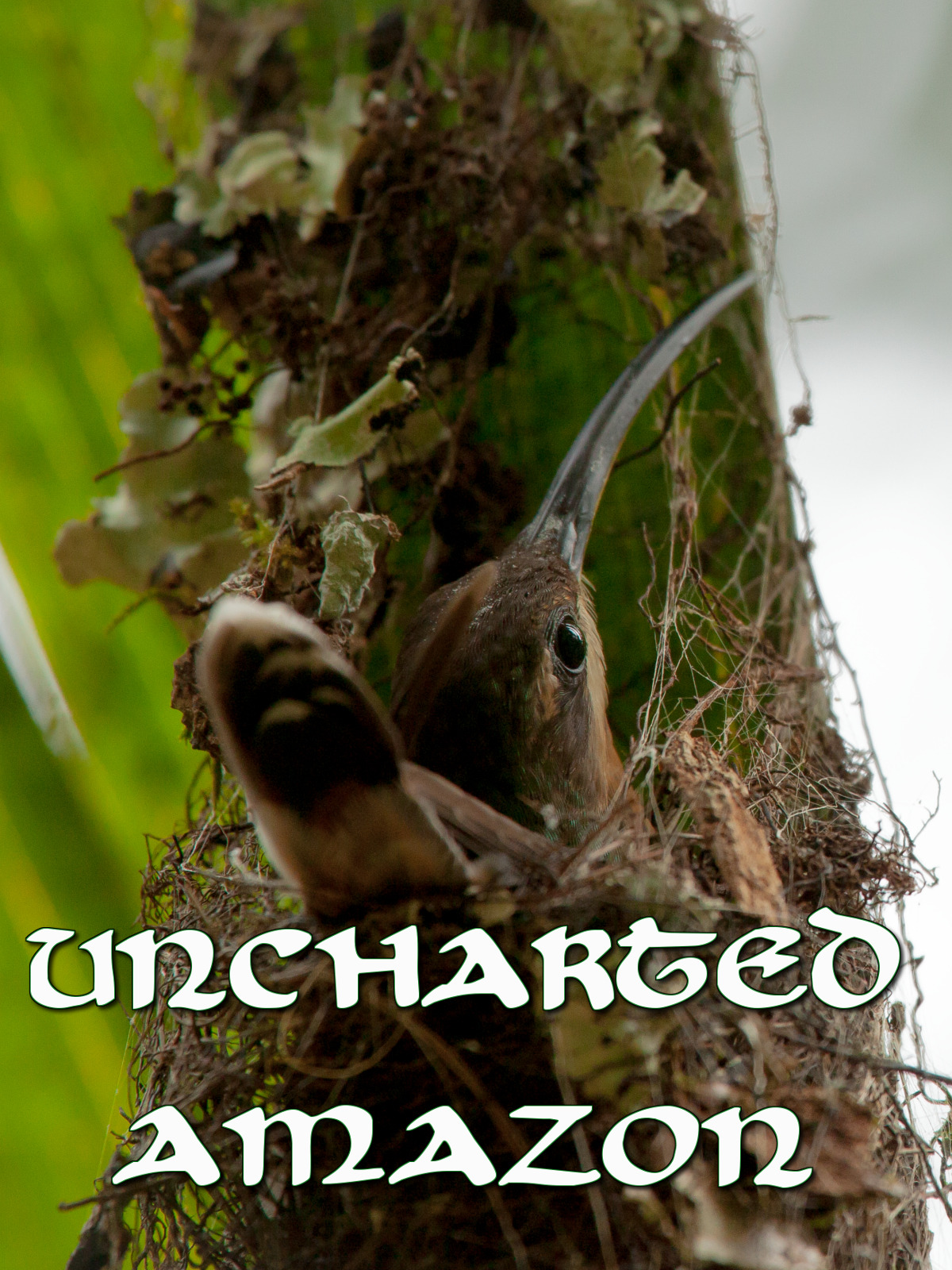 Prime Video Uncharted Amazon