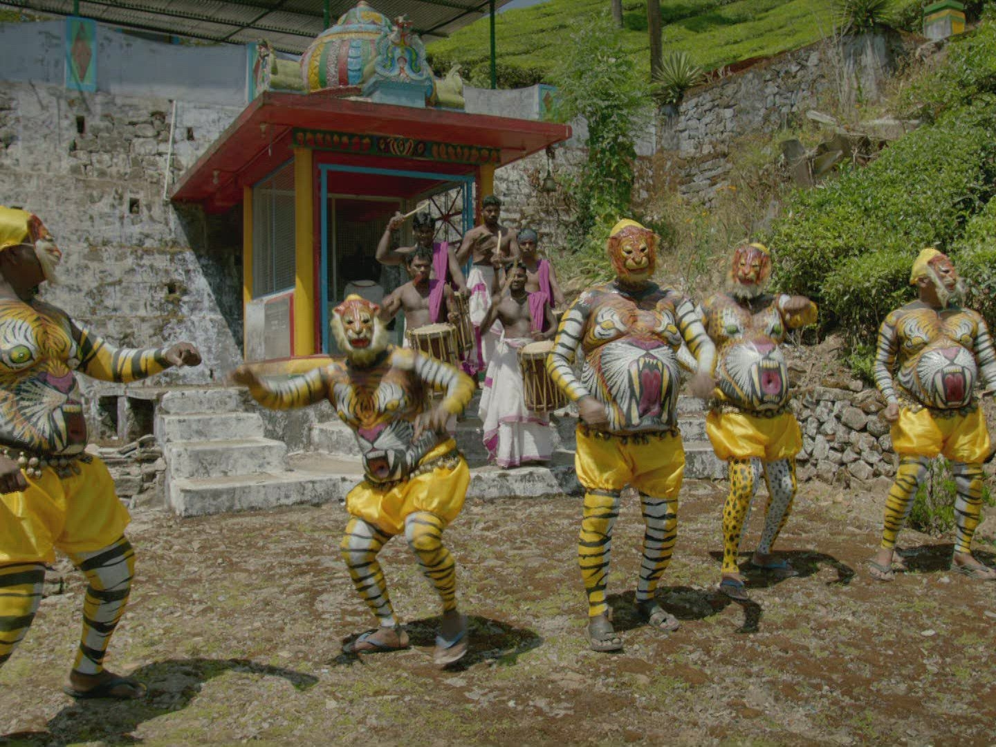 Prime Video: Hidden India - Season 1