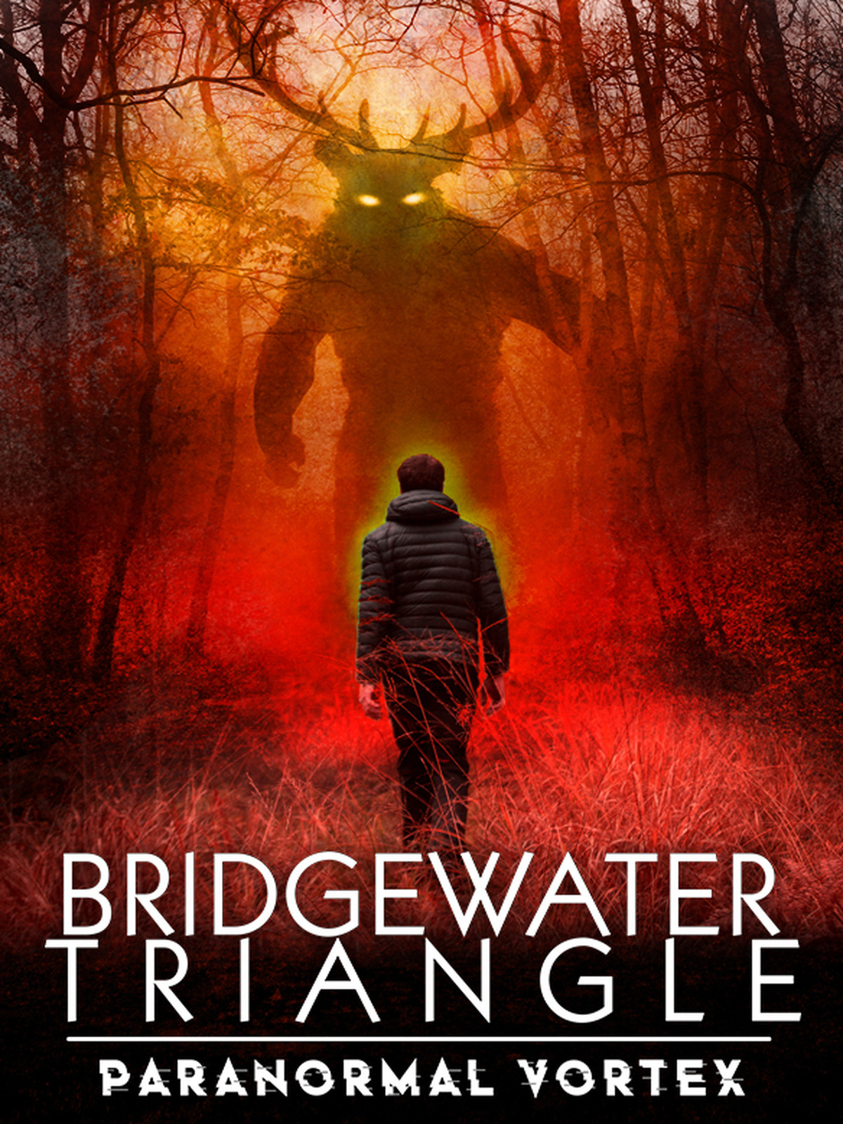 Prime Video Bridgewater Triangle Paranormal Vortex