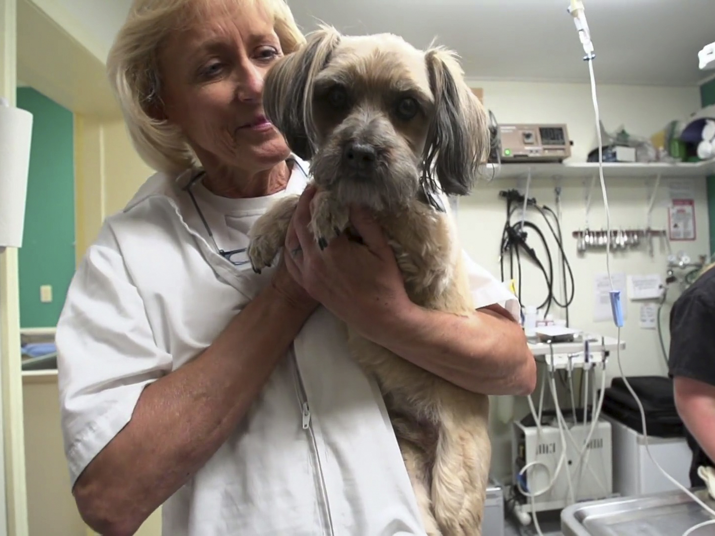Prime Video Dr Dee Alaska Vet Season 1