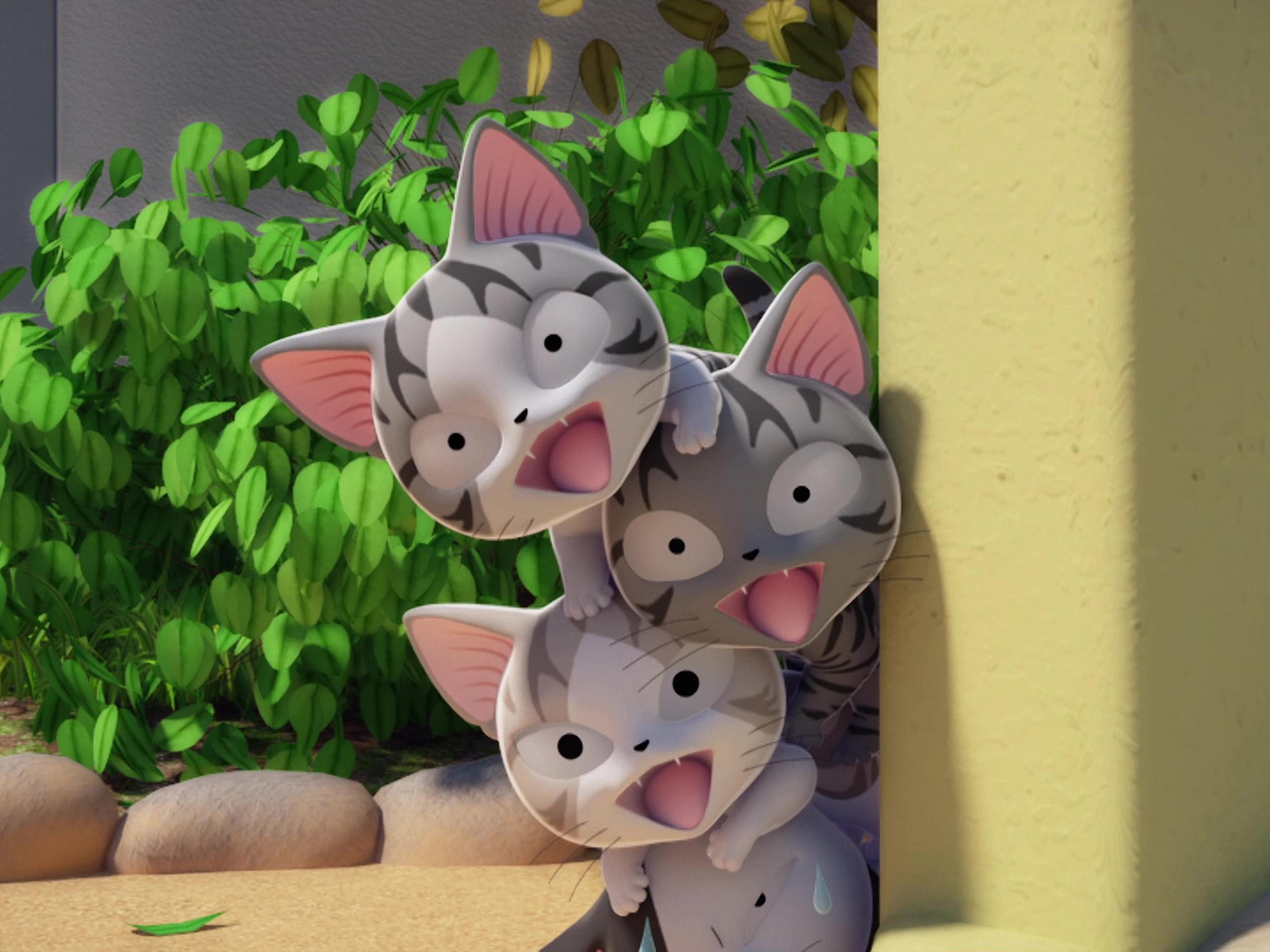 Prime Video Chi mon chaton Saison 1