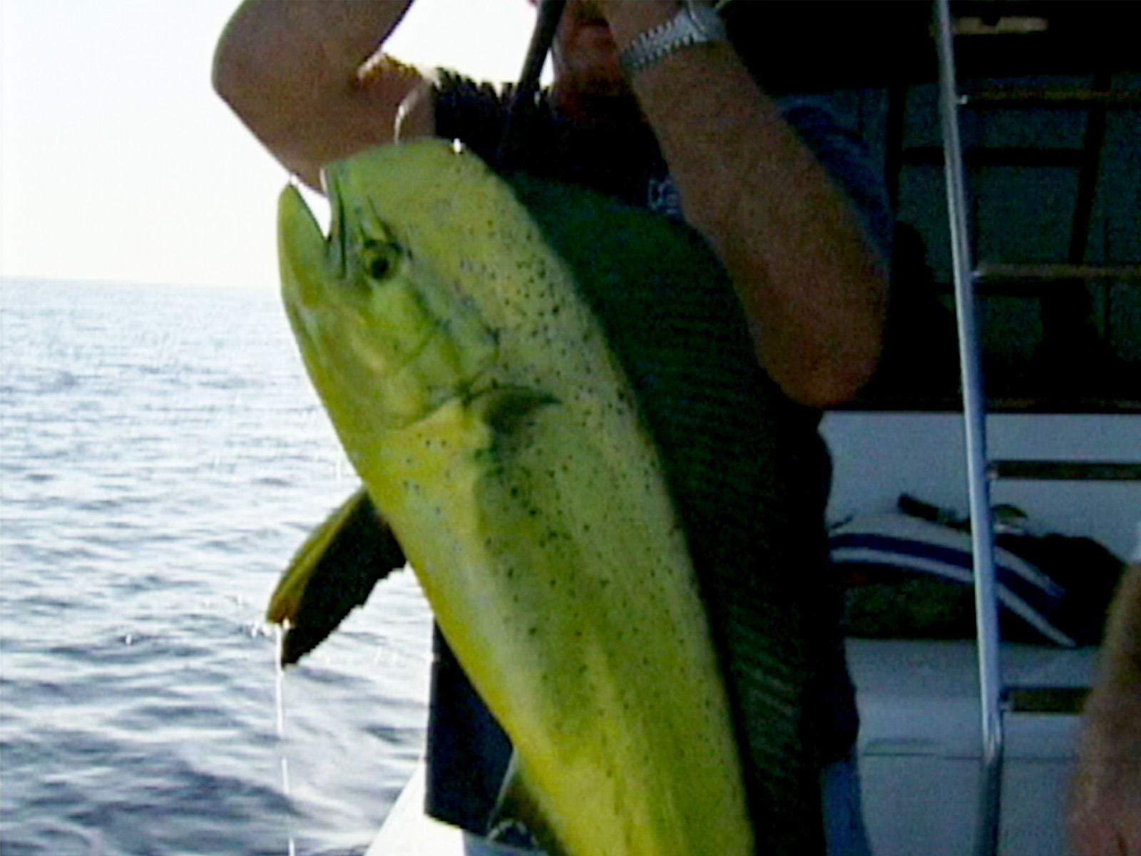 inside sportfishing below the border prime video