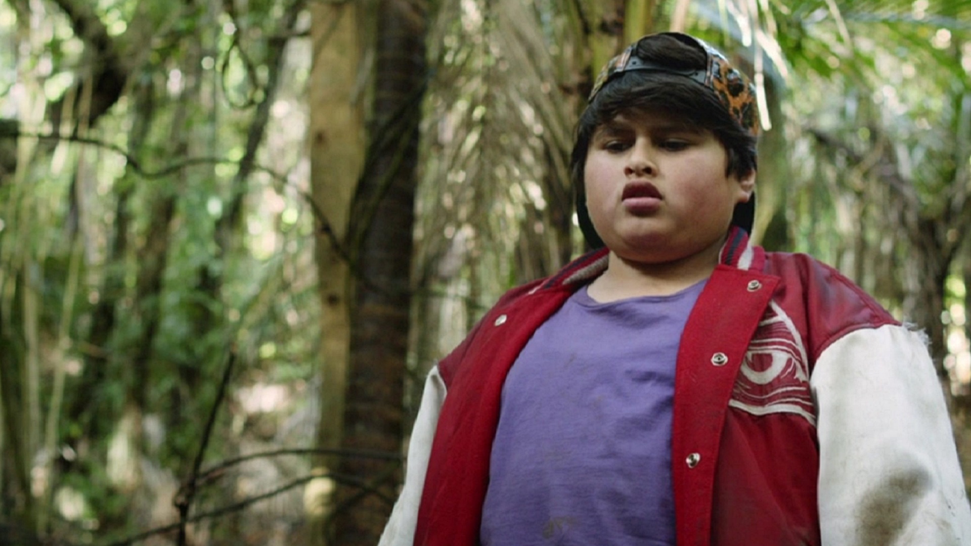 Watch Hunt for the Wilderpeople Prime Video