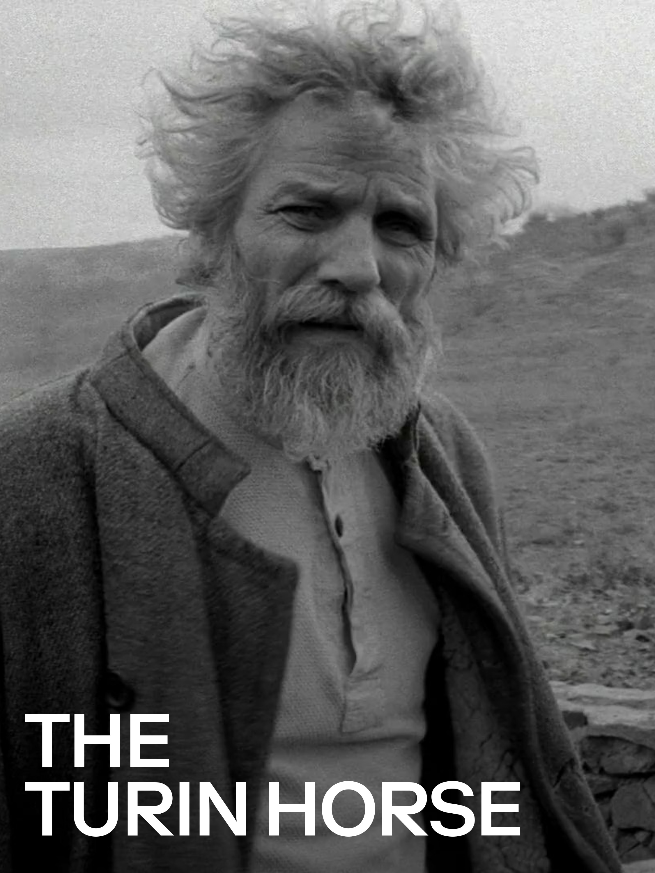 Prime Video The Turin Horse