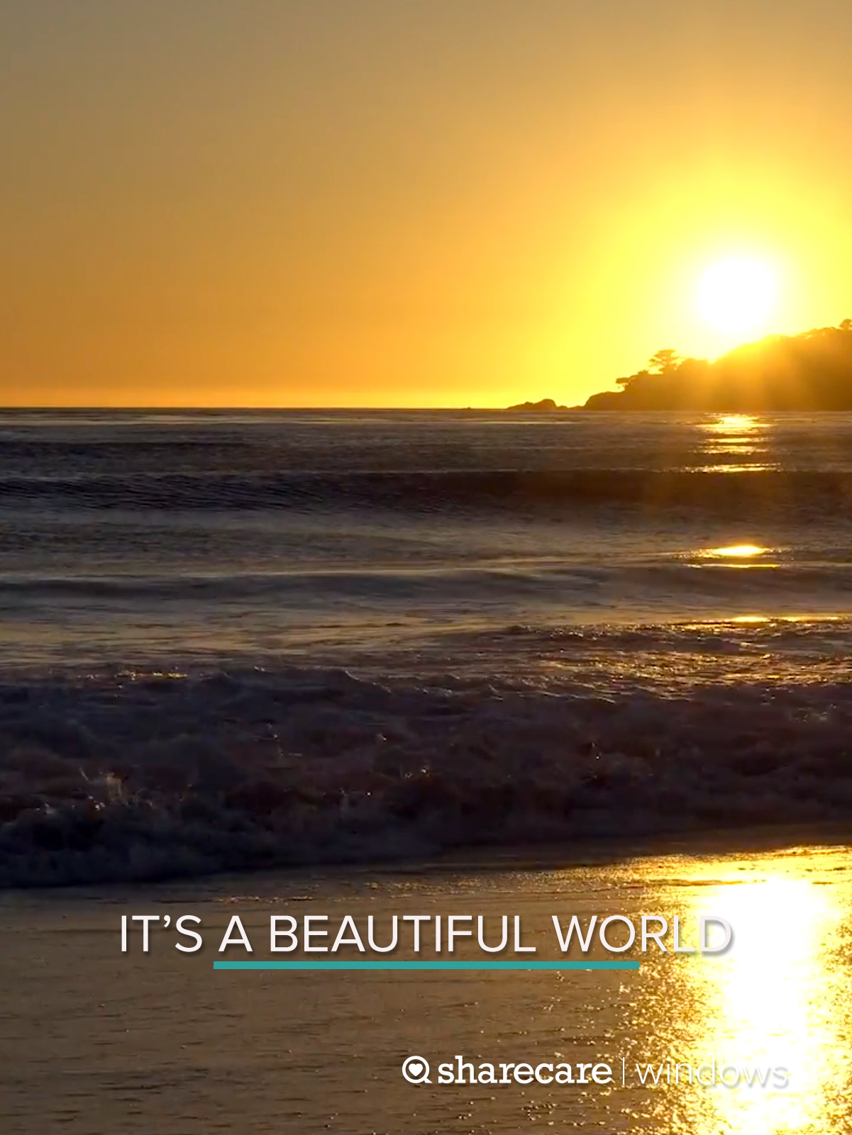 Prime Video It's A Beautiful World