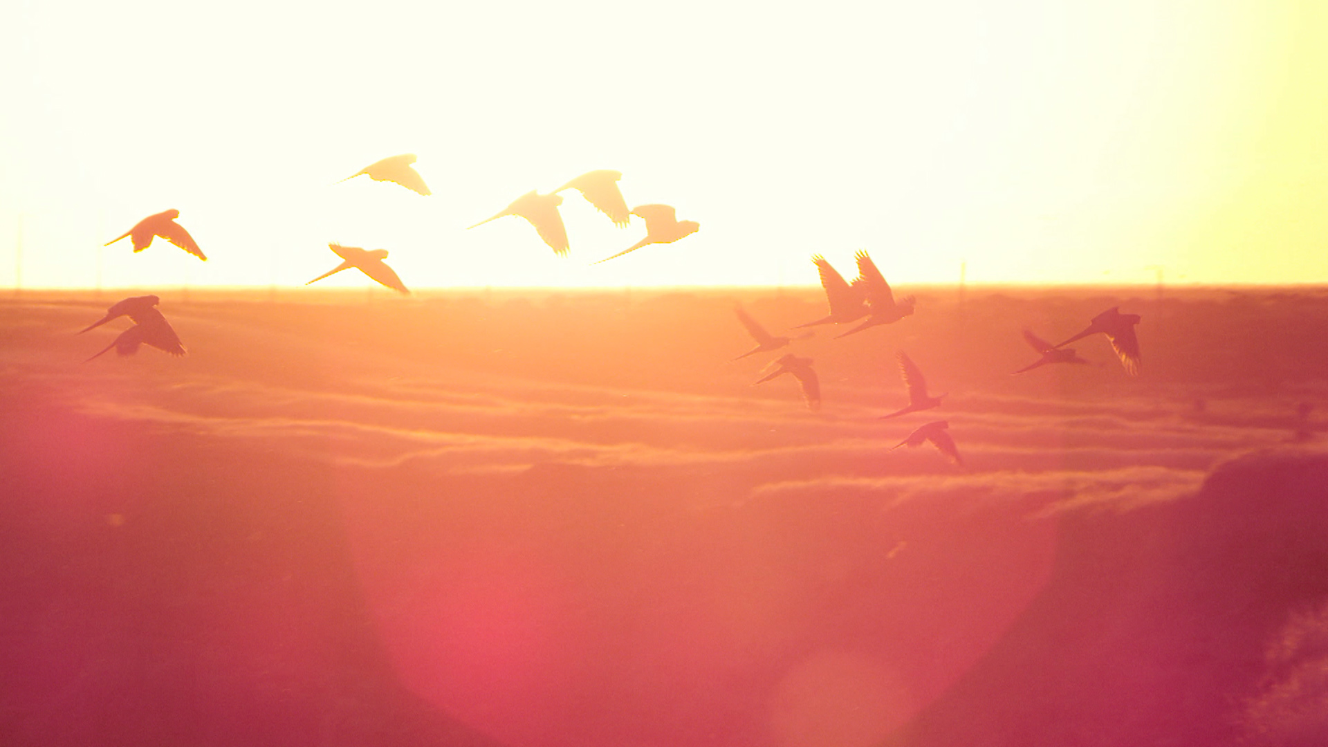 Prime Video Wild Patagonia Season 1