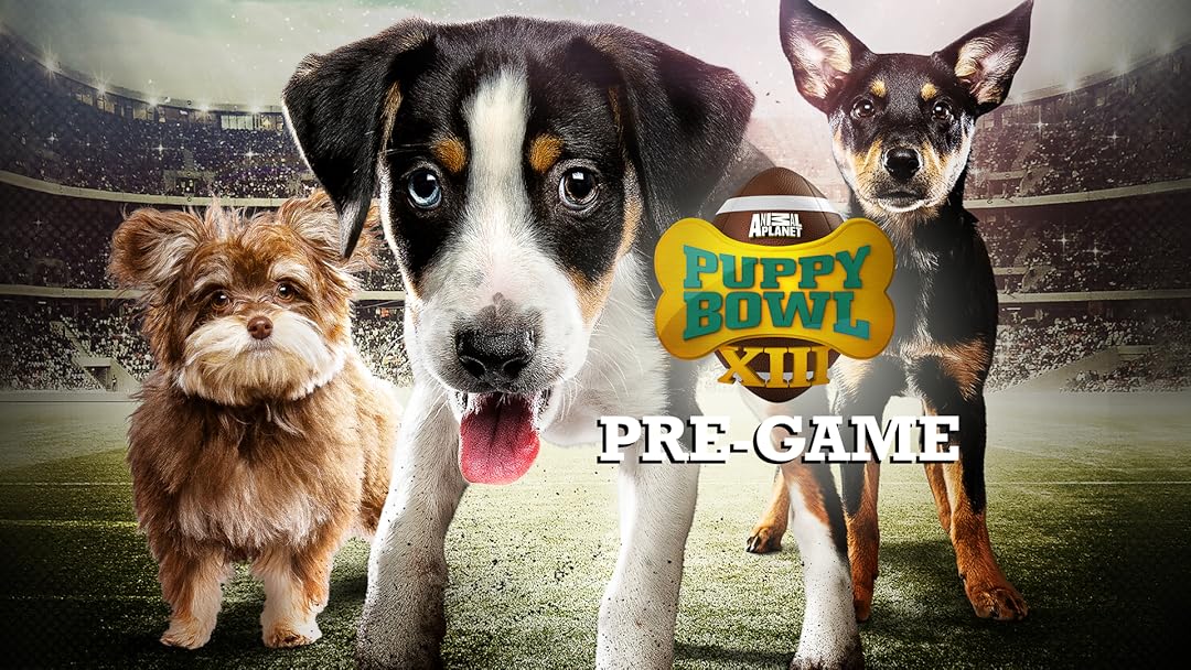 What Time Is The 2018 Puppy Bowl