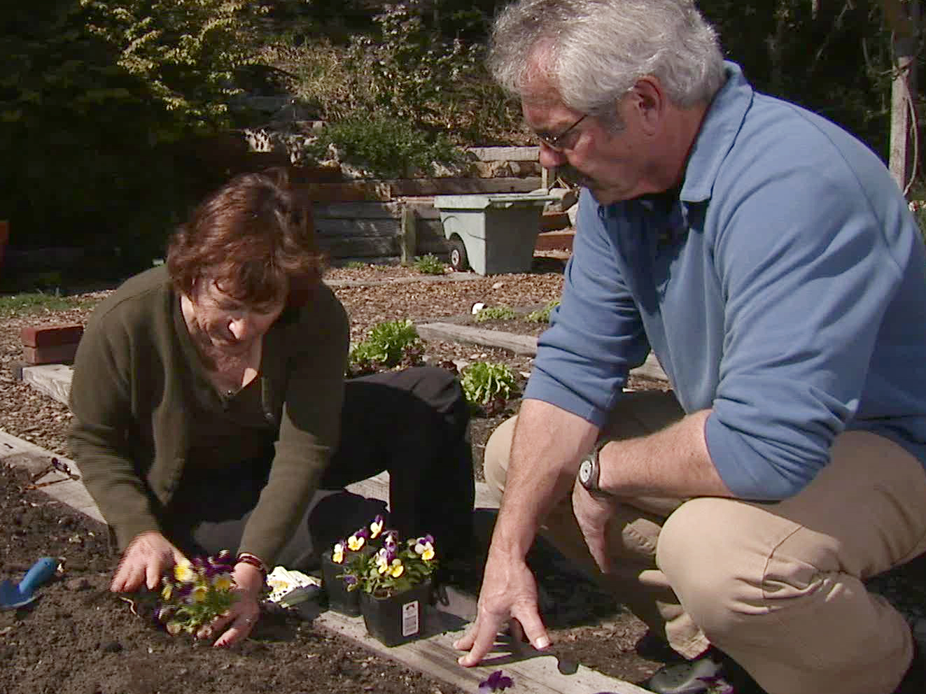 Gardening by the Yard episodes featuring beautiful yard designs and seasonal gardening tips.