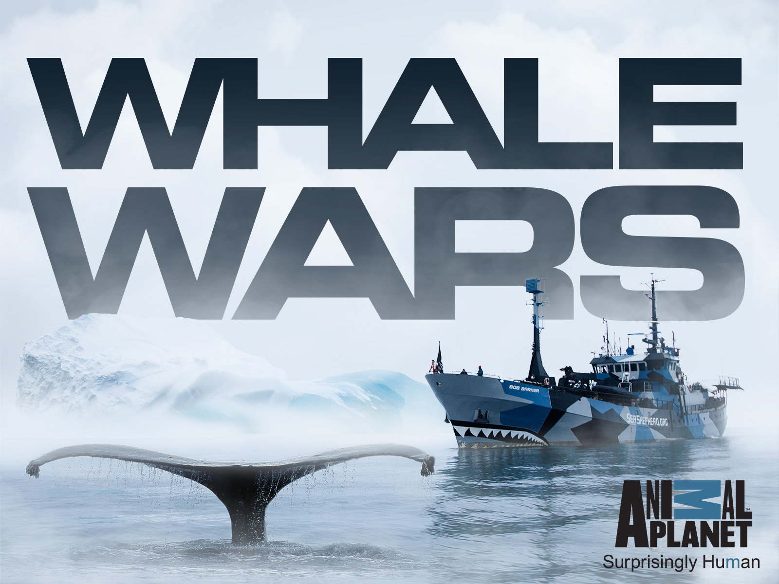 Whale Wars Captain