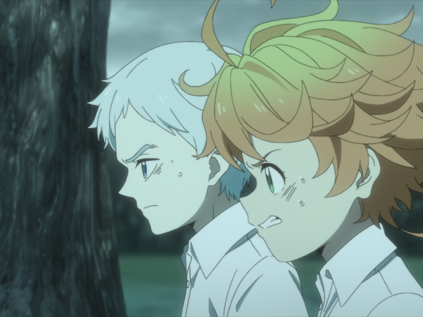 Che Personaggio Di The Promised Neverland Sei