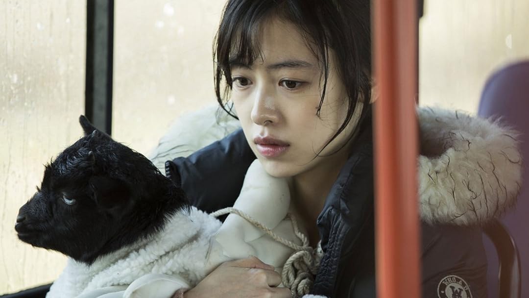 Watch A Stray Goat Prime Video