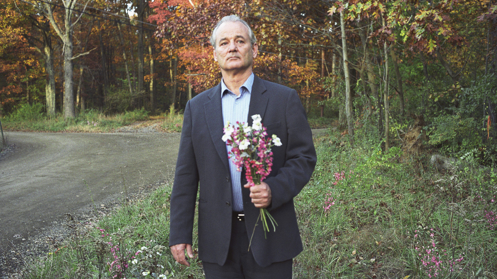 Watch Broken Flowers Prime Video