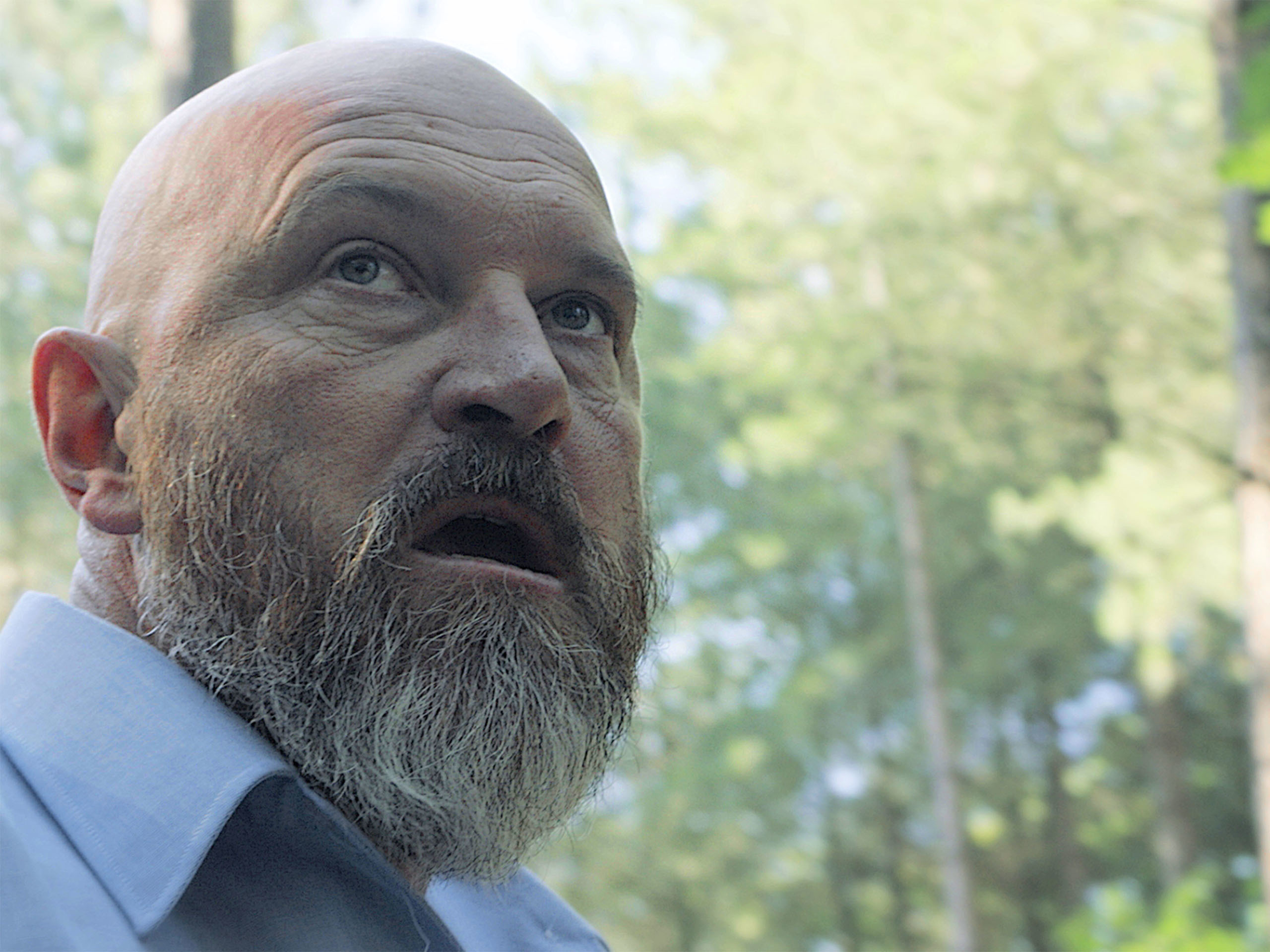 Prime Video Professor T (Original), Season 3