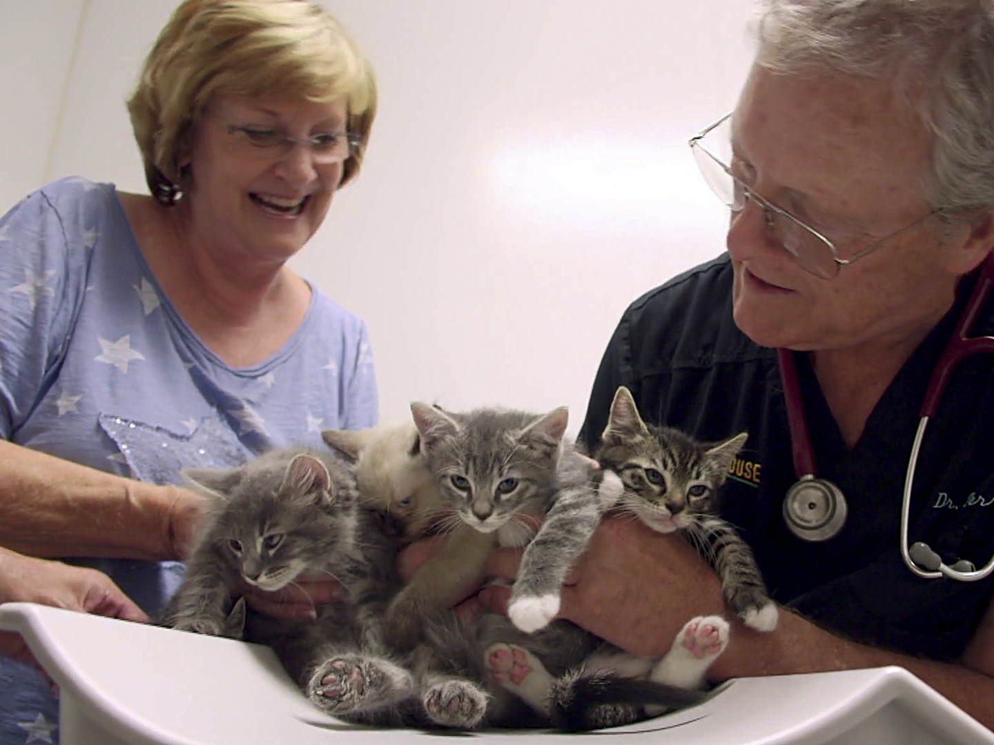 Prime Video Dr. Dee Alaska Vet Season 2