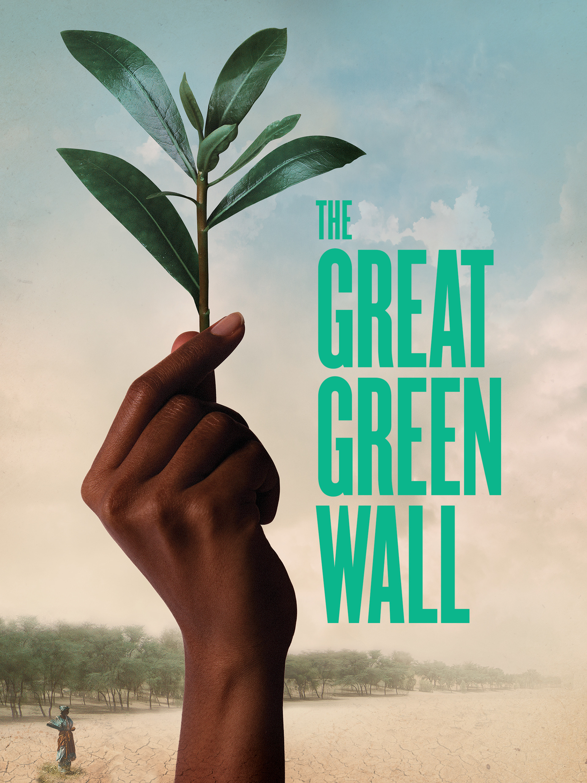 Prime Video The Great Green Wall
