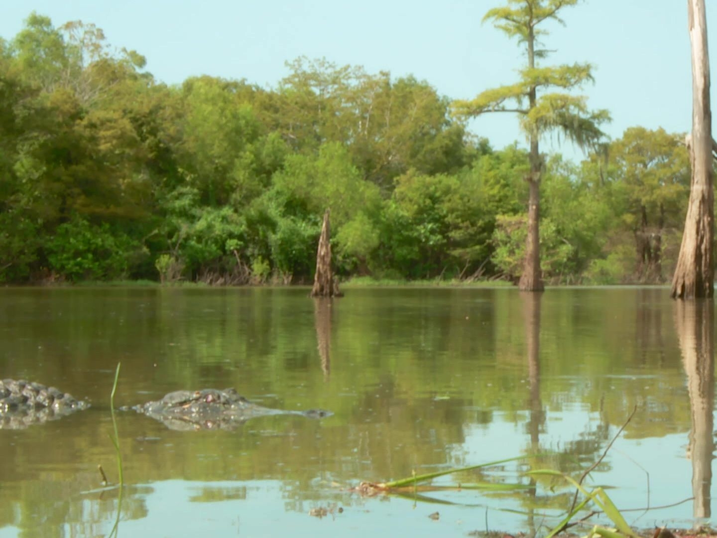 Prime Video: Lone Star Law - Season 6