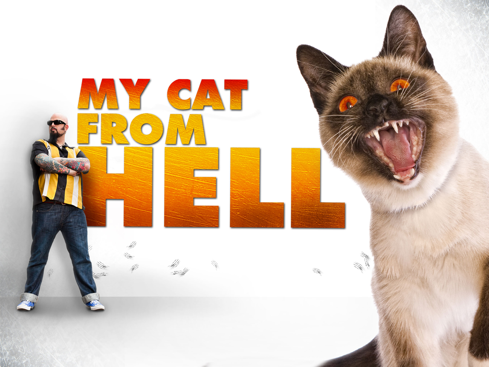 Prime Video My Cat From Hell Season 6