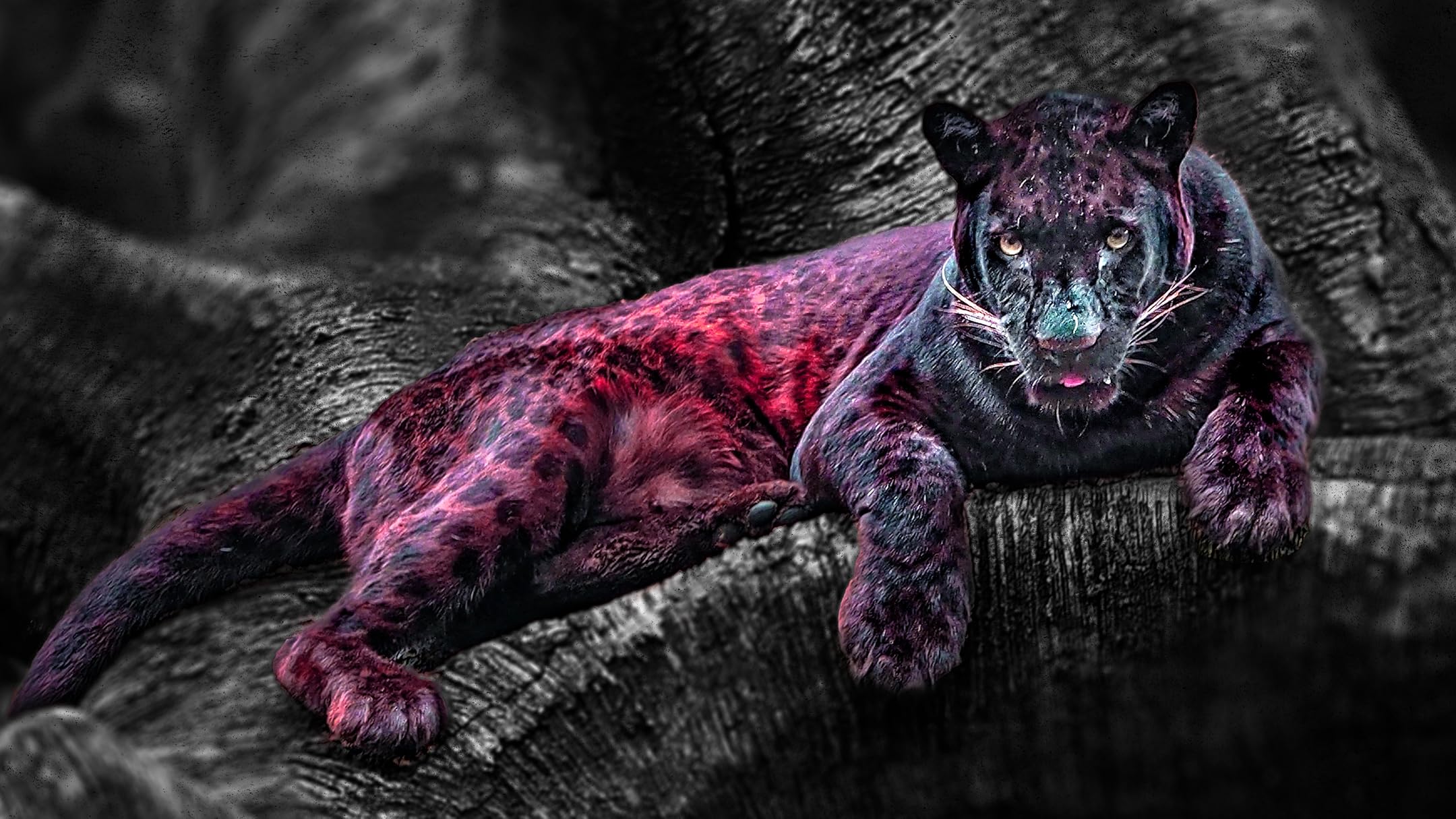 Watch Fatal Attractions Season 2 Prime Video