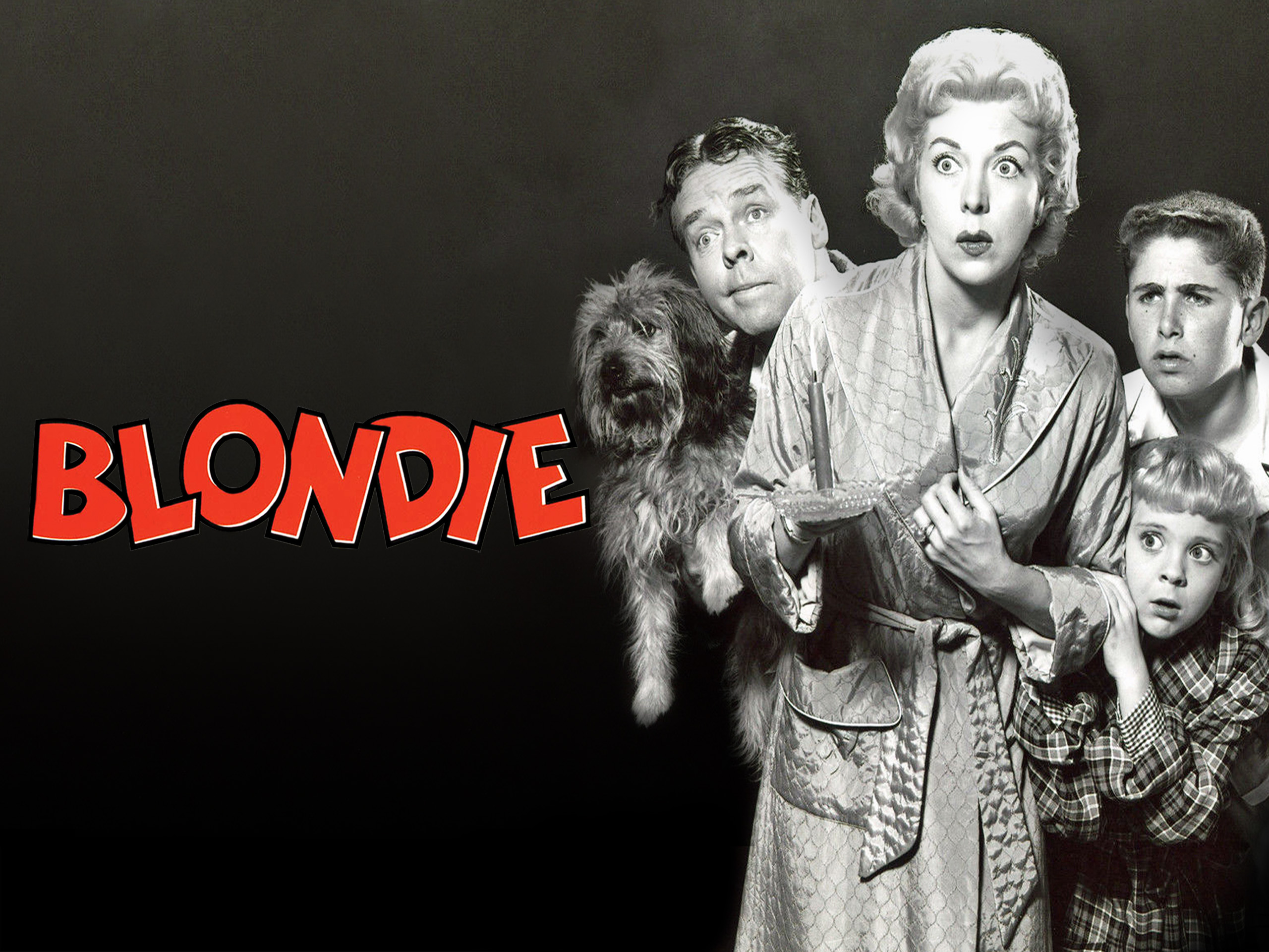 Prime Video Blondie Season 1 pic