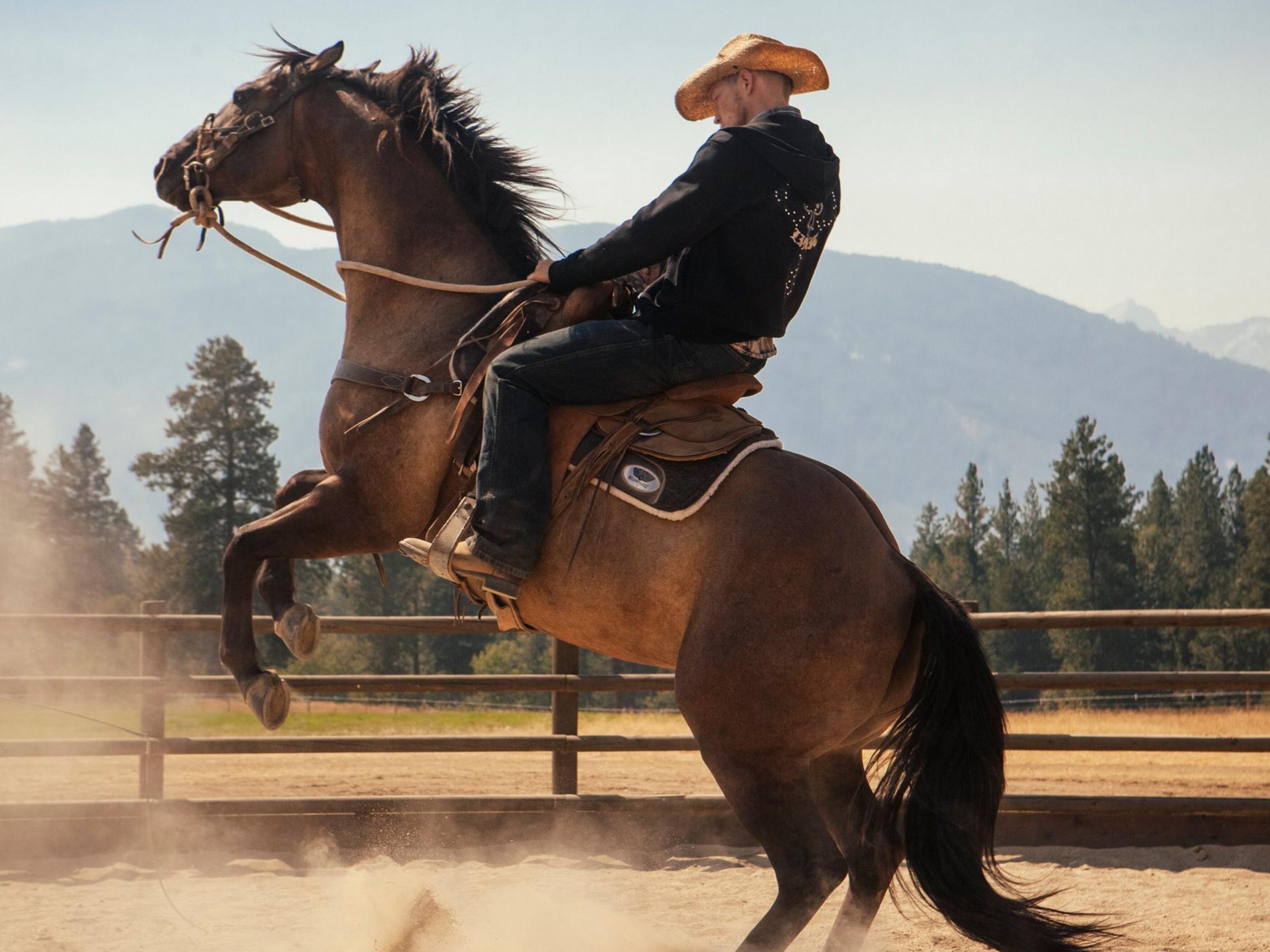 Prime Video Yellowstone Saison 1