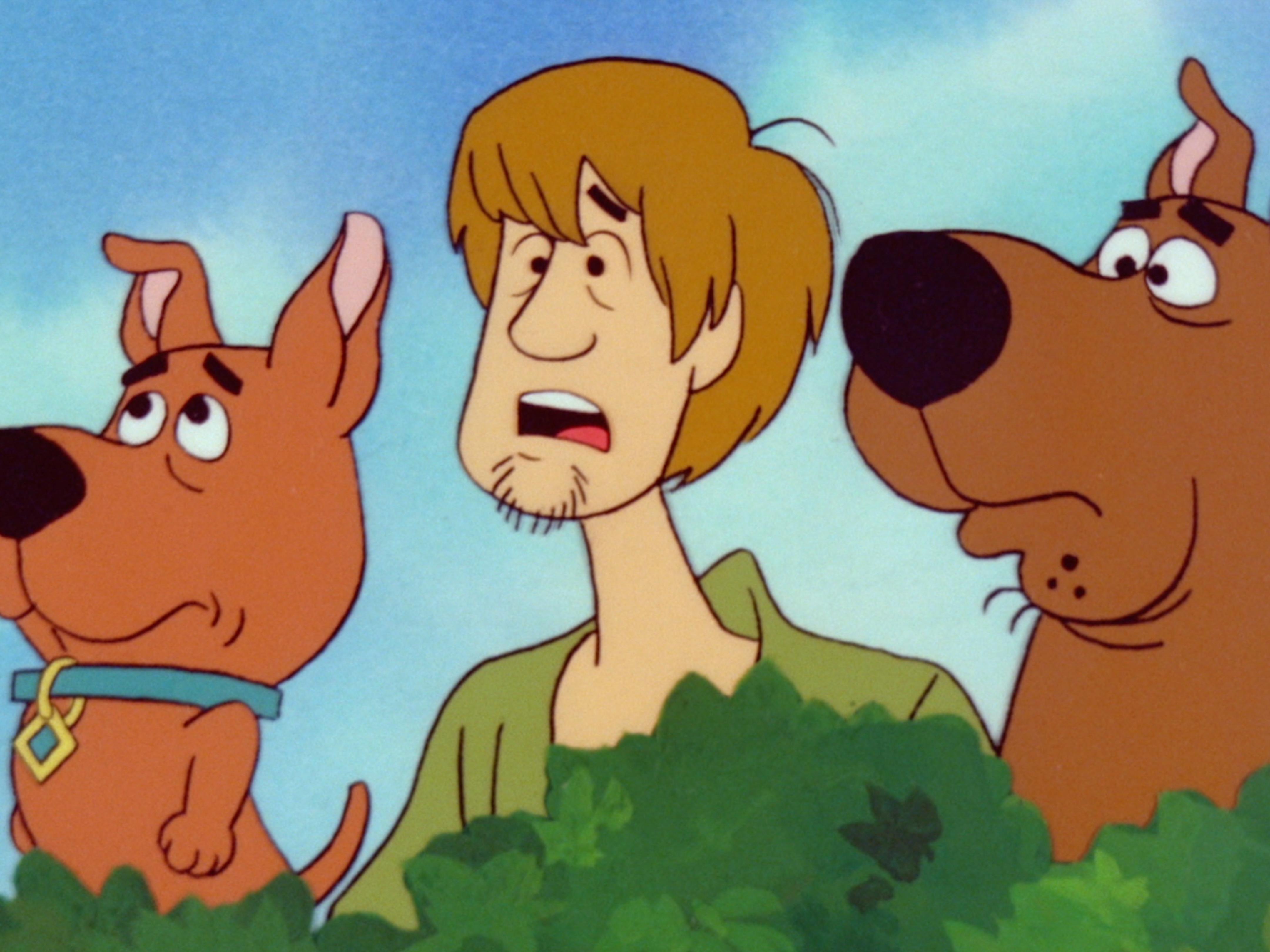 Prime Video ScoobyDoo and ScrappyDoo Season 4