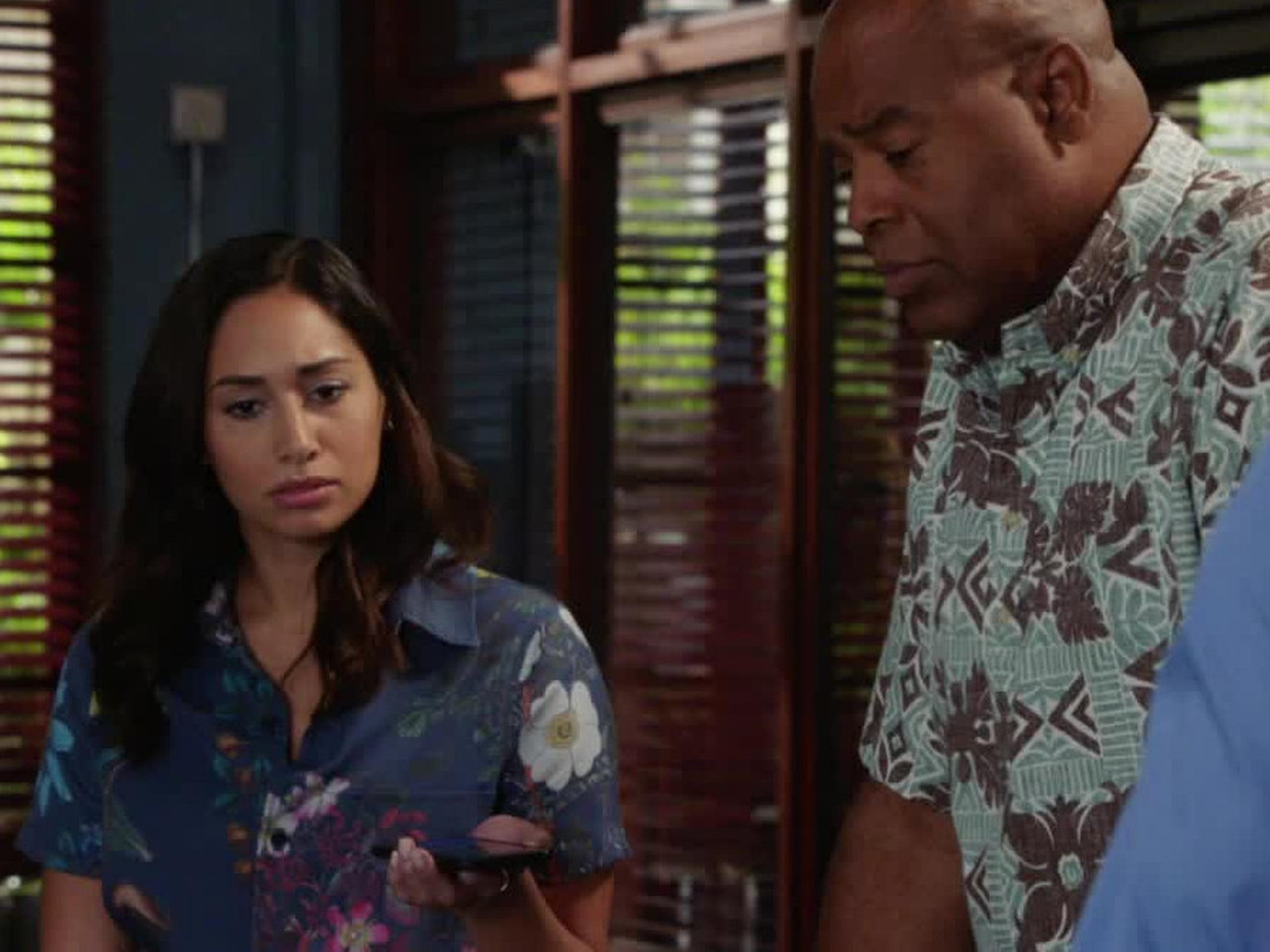 Prime Video: Hawaii 5-0 - Saison 10