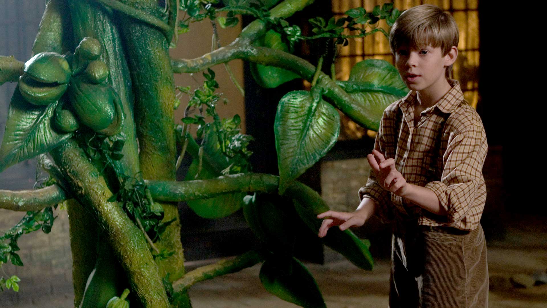 Jack Et Le Haricot Magique Film 2001 Prime Video: Jack et le Haricot Magique