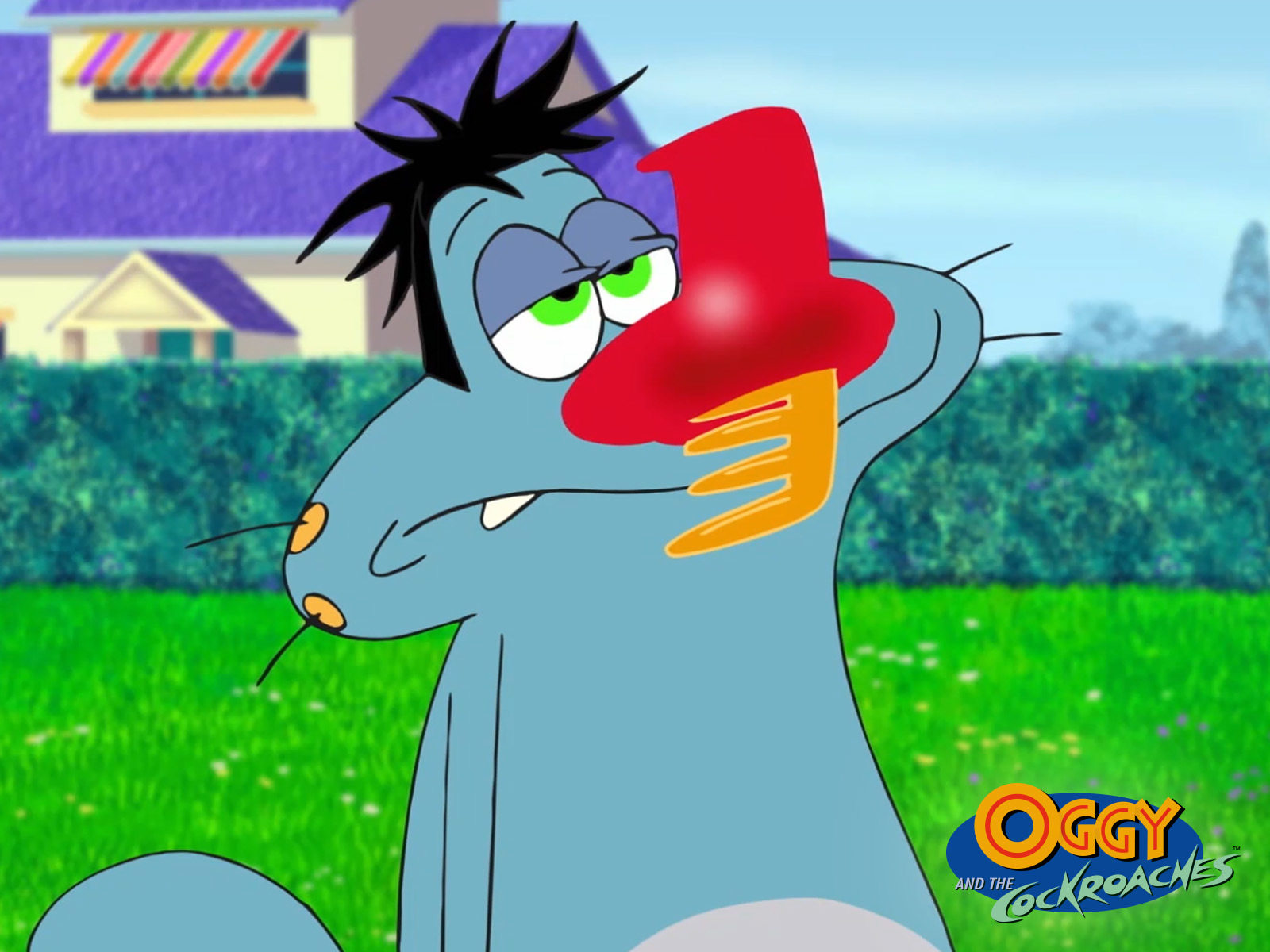 Prime Video: Oggy & the Cockroaches