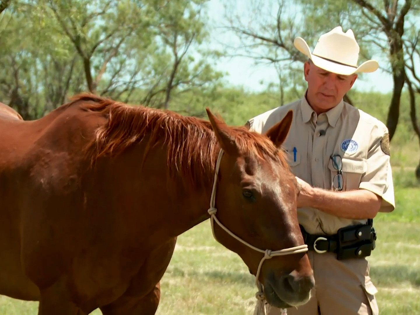 Prime Video: Lone Star Law - Season 5