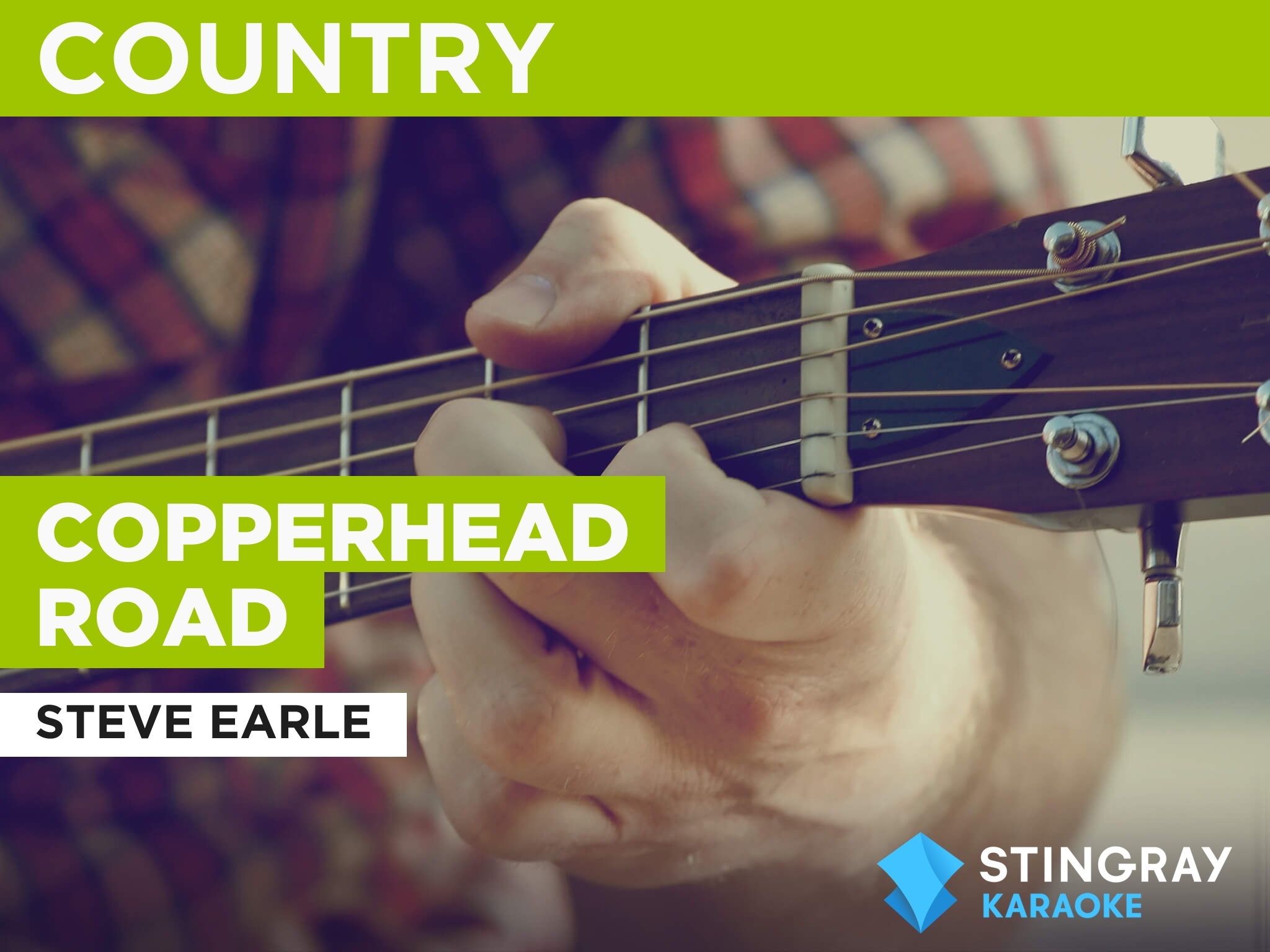 Copperhead Road Guitar Chords