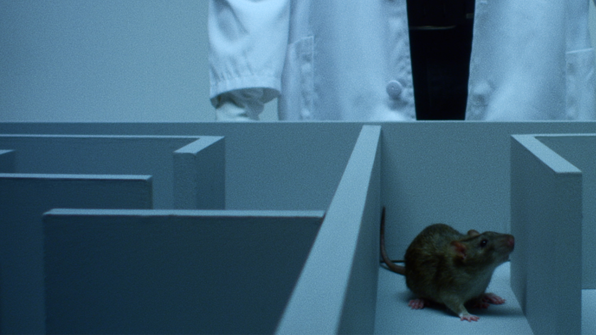 Prime Video The Mandela Effect