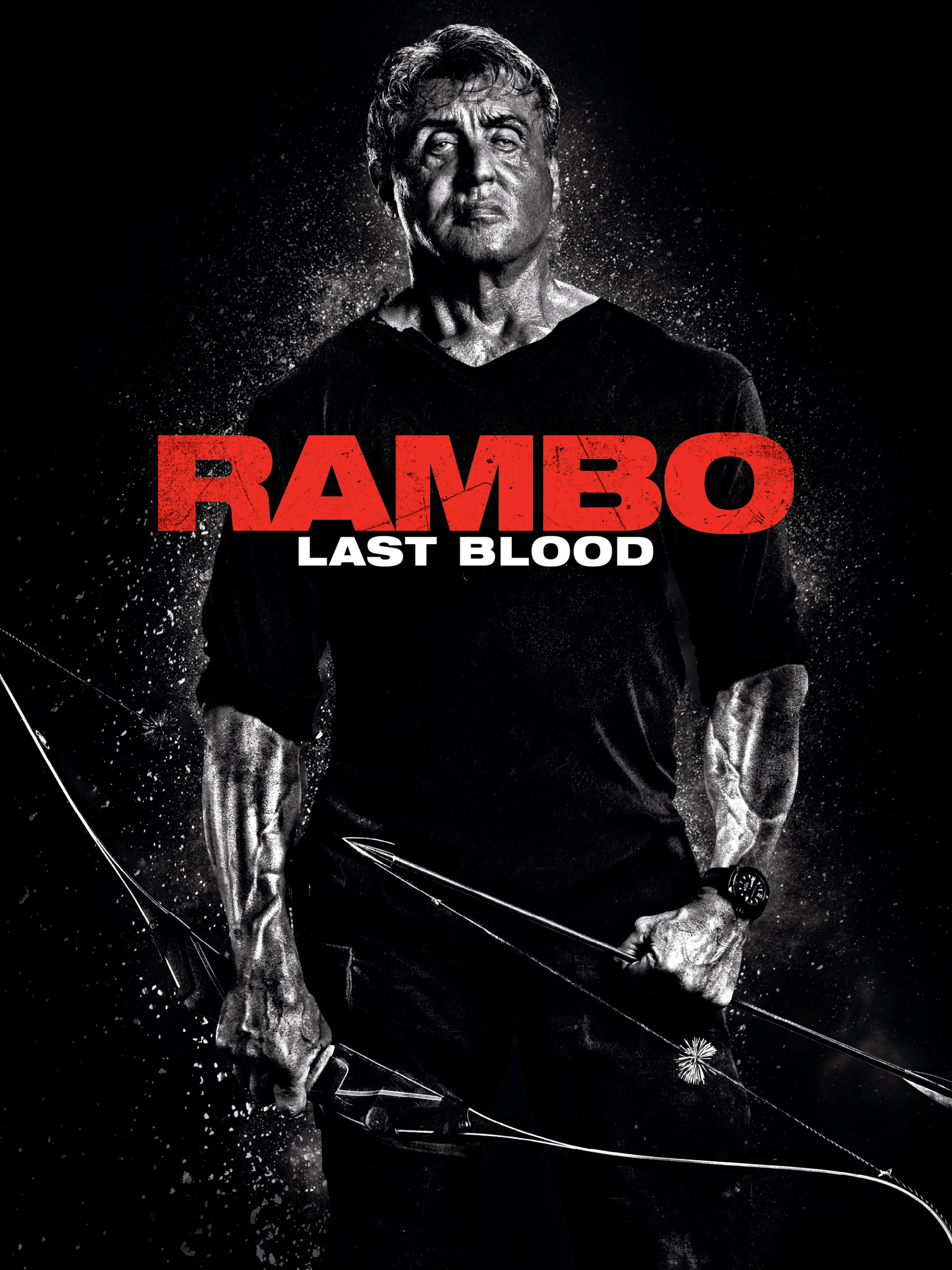 Prime Video: Rambo: Last Blood
