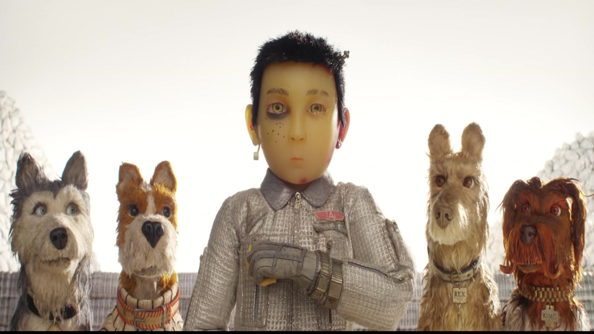 Watch Isle of Dogs  Prime Video