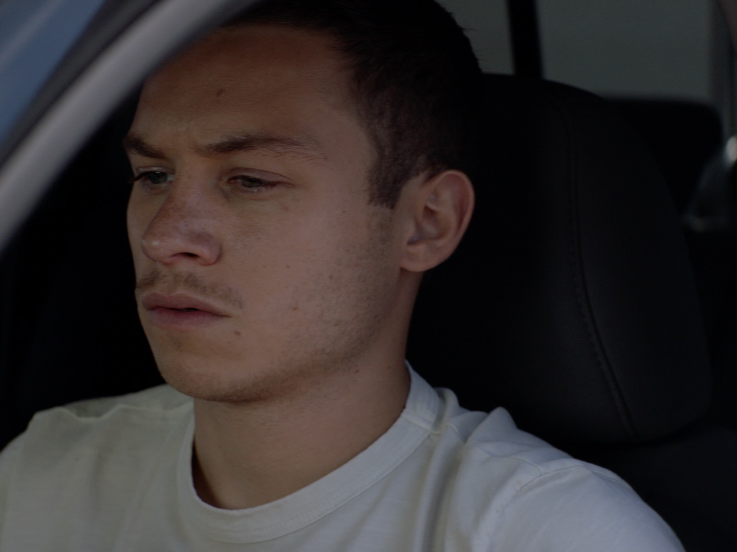 Prime Video Animal Kingdom Season 6