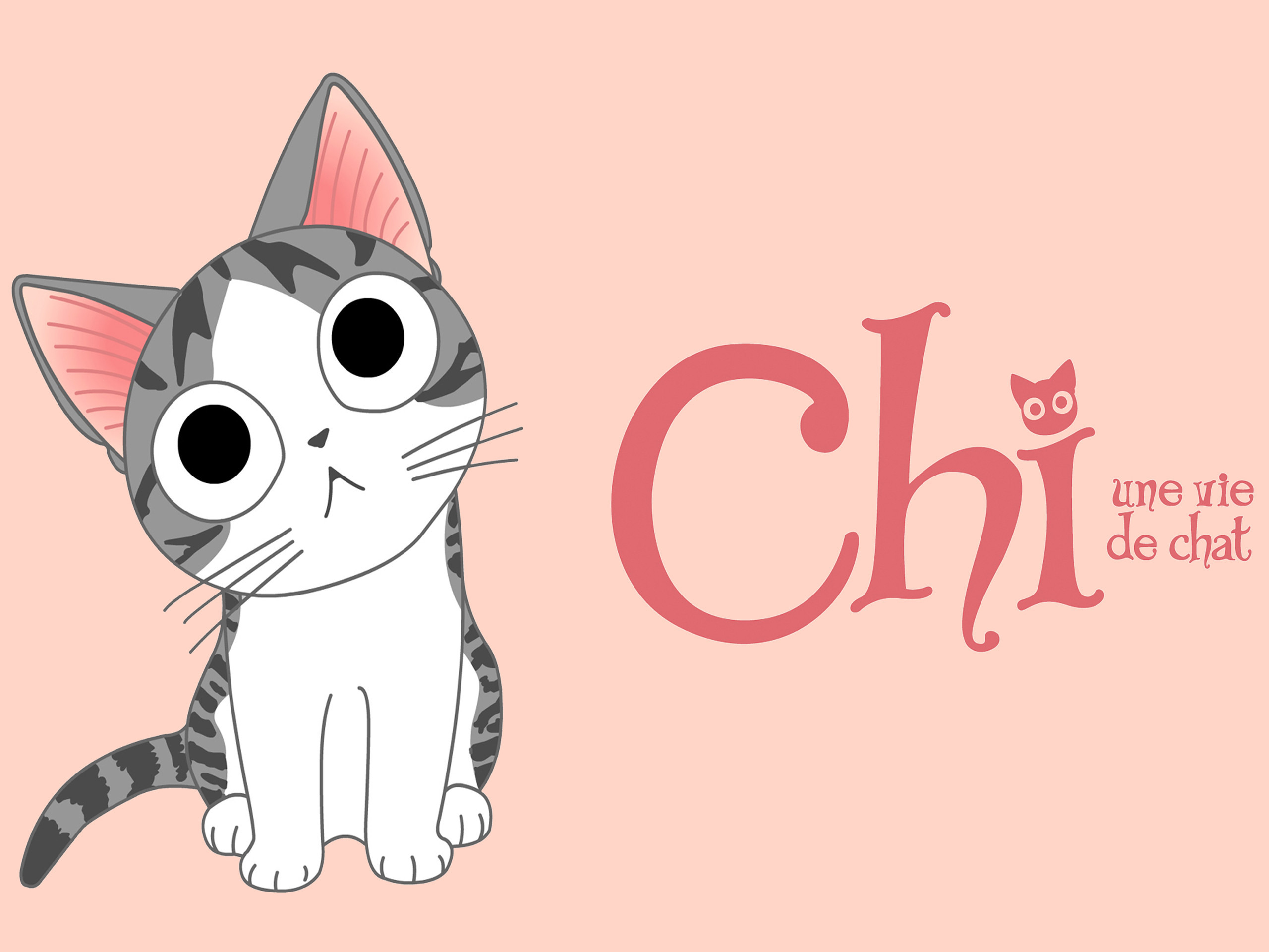 Prime Video Chi Une Vie De Chat