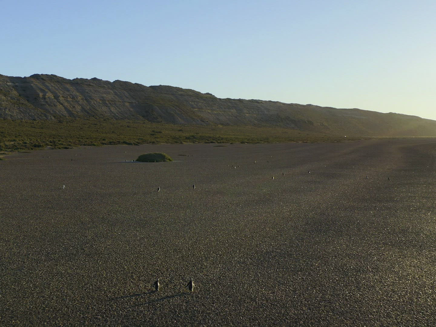 Prime Video Patagônia Extraordinária Season 1