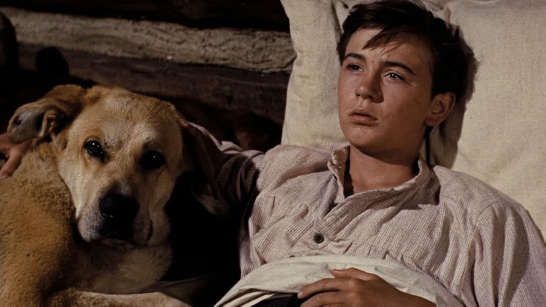 Prime Video Old Yeller Prime Video Old Yeller