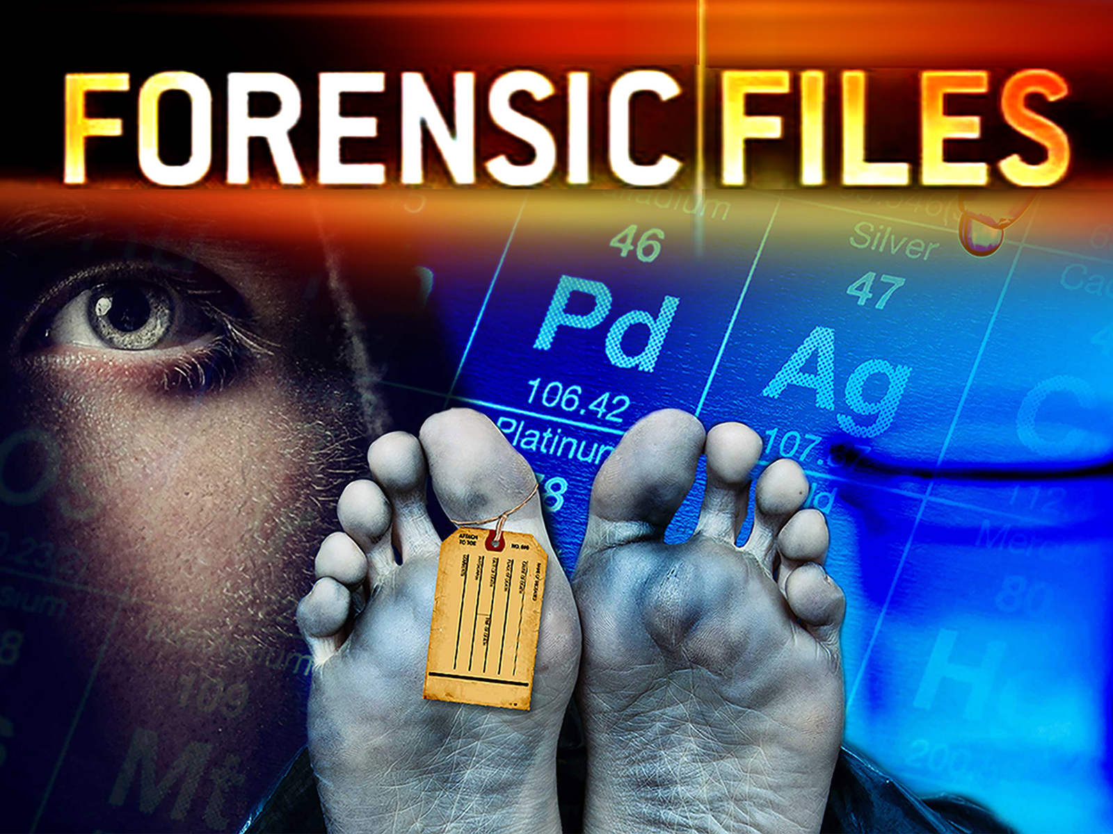 Prime Video Forensic Files Season 13