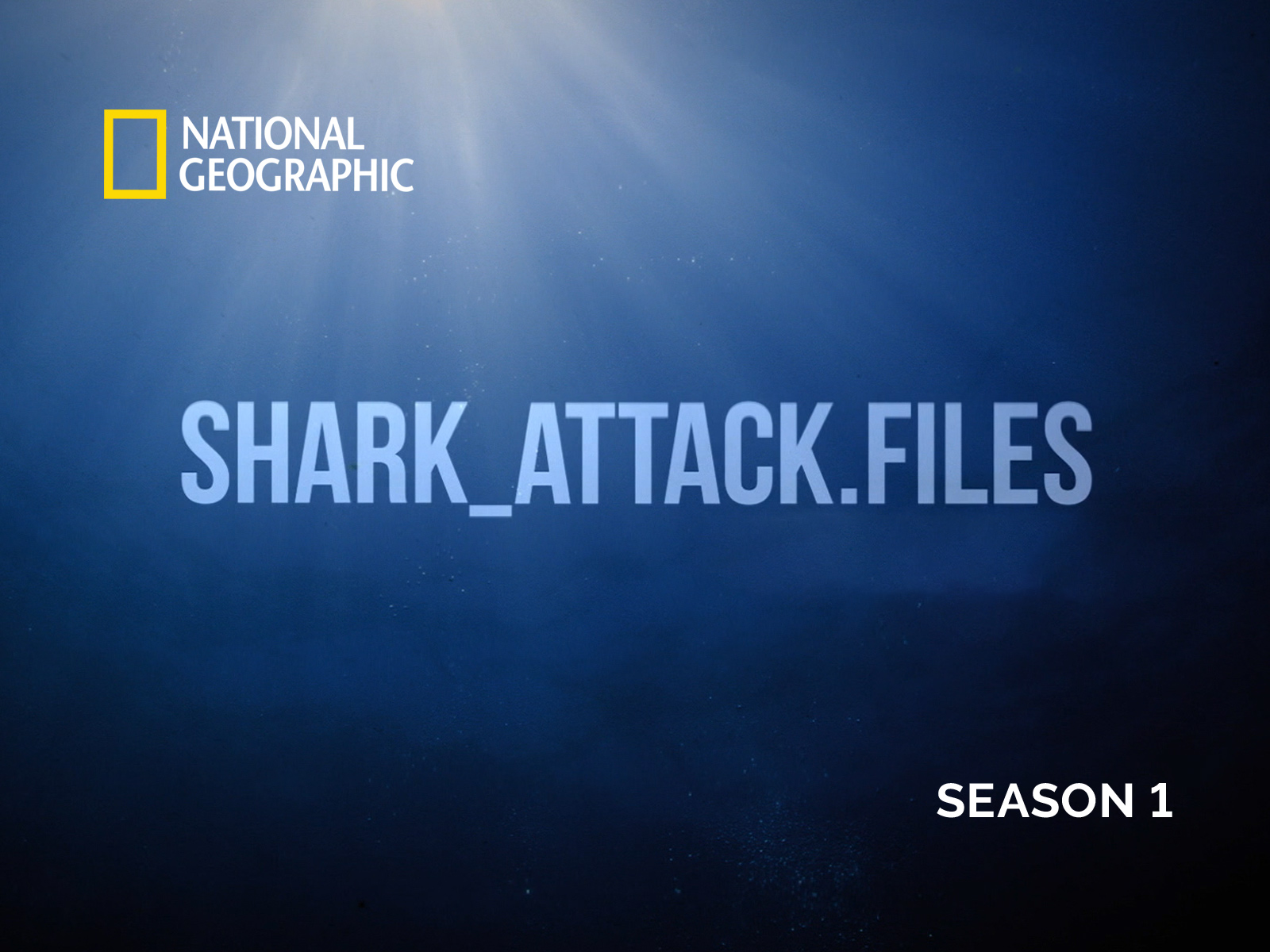 Prime Video: Shark Attack Files - Season 1