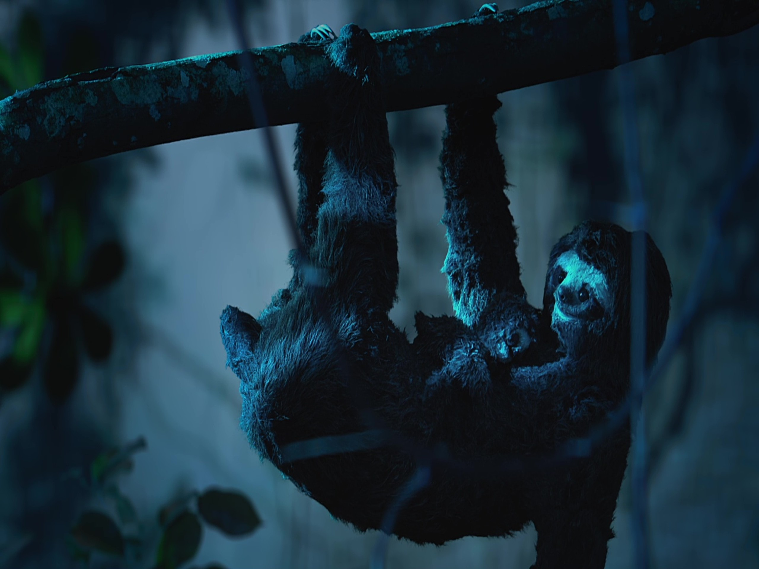 Prime Video Au Dodo Saison 1