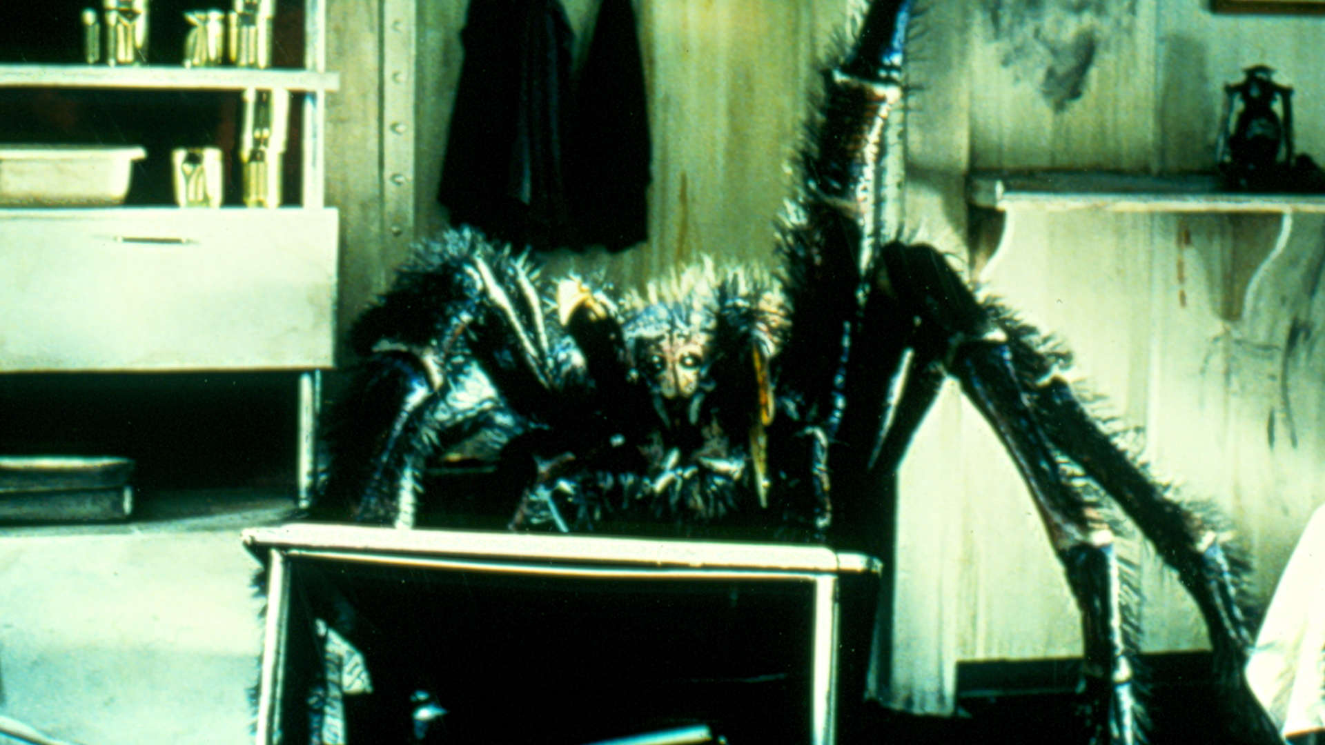 Watch Spiders 2 Prime Video